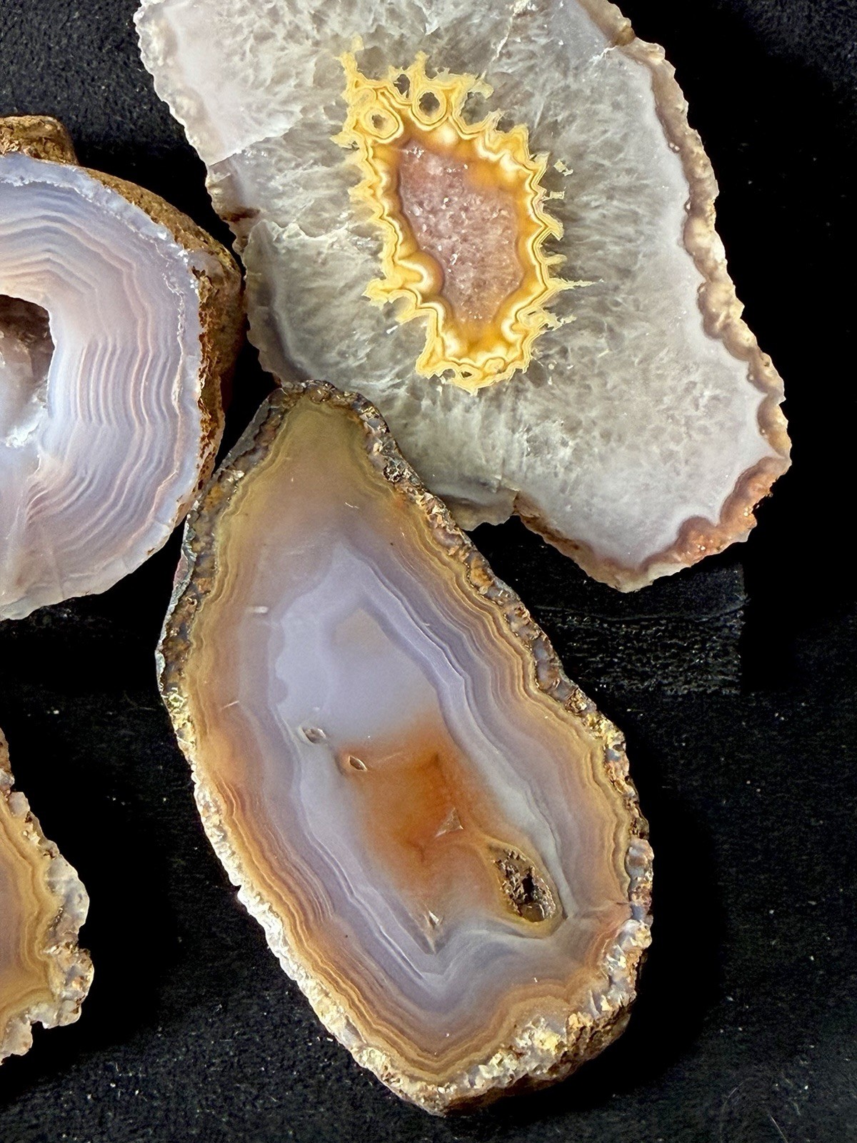 Huge Collection of Coyamito Agates. Mirror Polished Mexico. HARDAGATES