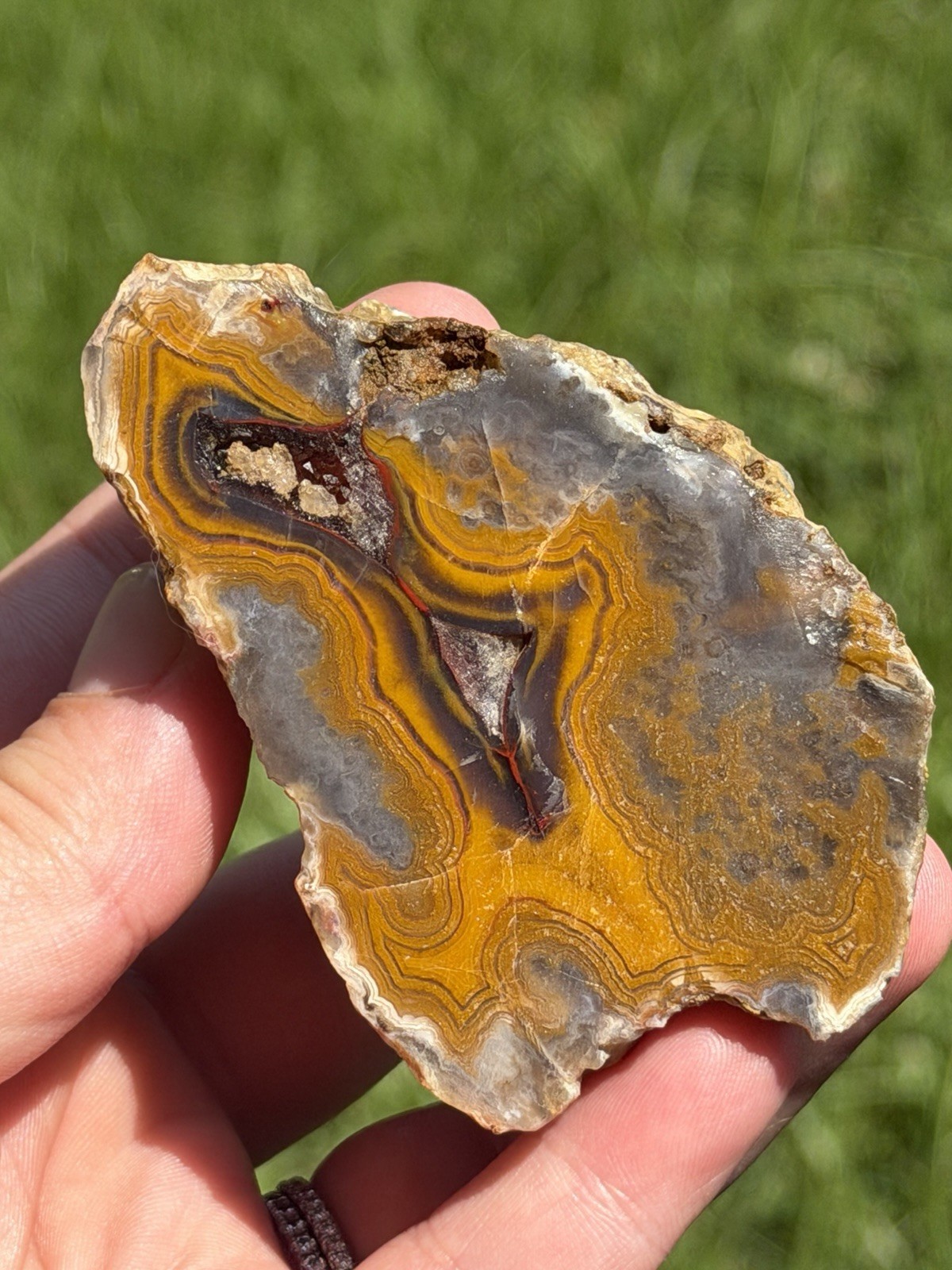 Vibrant Kentucky Agate Specimen – Irvine, KY | Rich Yellow, Red, & Smoky Purple