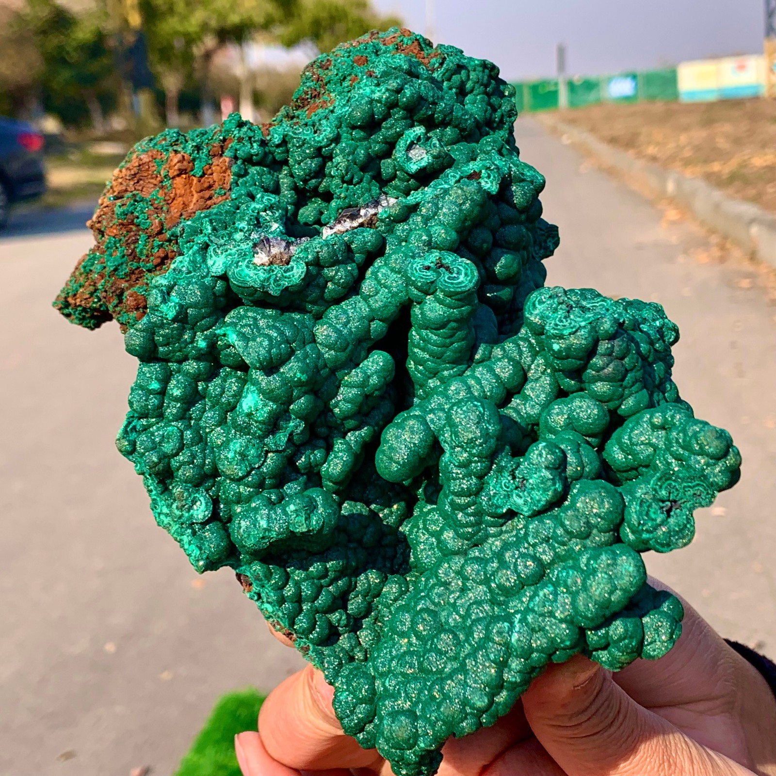 2.2LB Natural VELVET Azurite/Malachite cat’s eye specimen crystal mineral-Congo