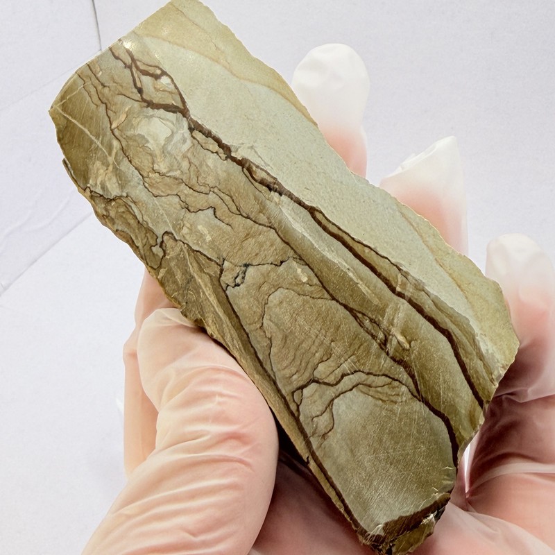 OWYHEE Picture Jasper Slab Polished Display Stone Oregon USA