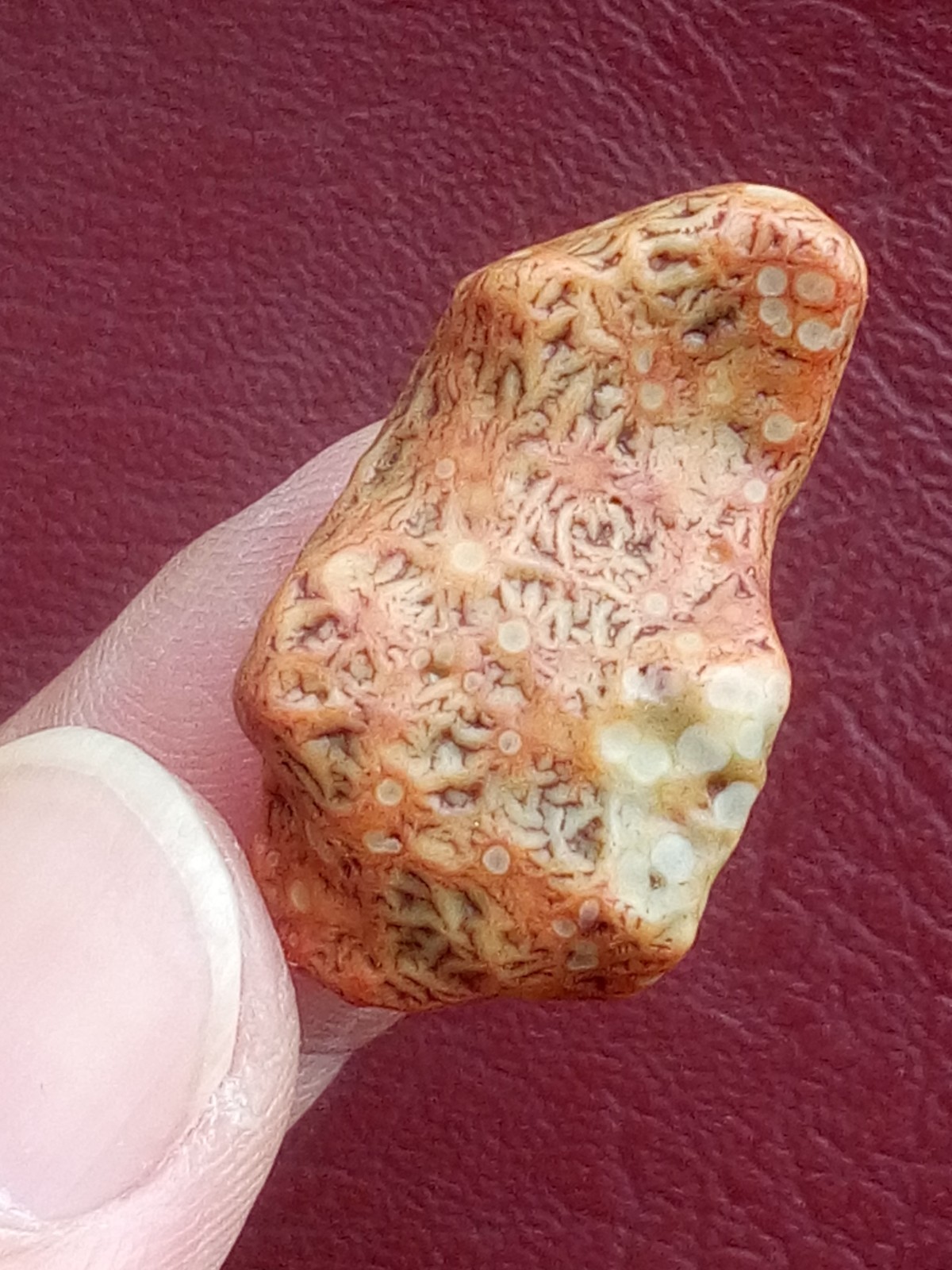 5 pieces Beautiful Natural GoBi agate veins agate Landscape stone