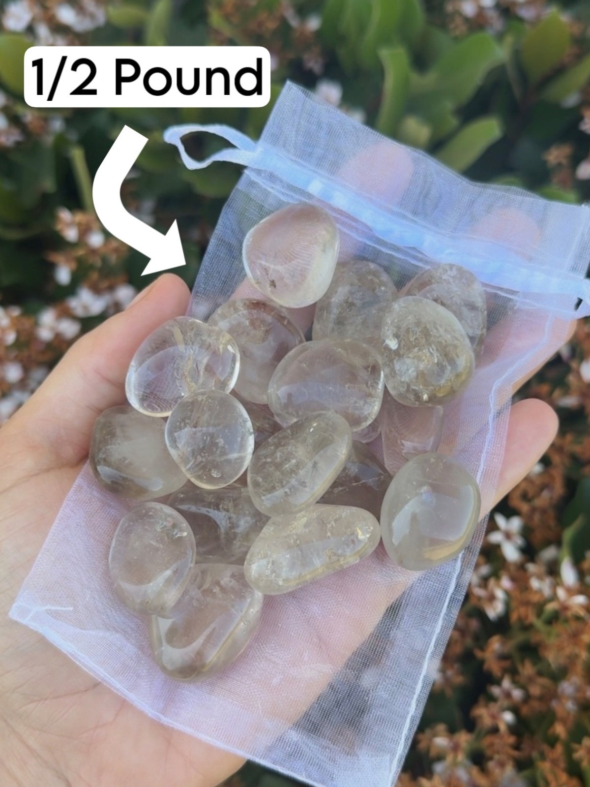 1/2 Pound Smoky Quartz Tumble Stone Bulk Wholesale Lot of Crystals 20-30mm