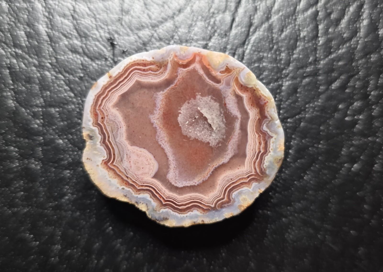 Kentucky Agate Display Specimen-Purple, pink, and blue with Polished Face # S-71