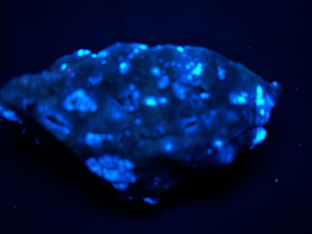 KB: RICH! SW FL BRIGHT BLUE/WHITE SCHEELITE WITH WOLFRAMITE FROM AUSTRALIA
