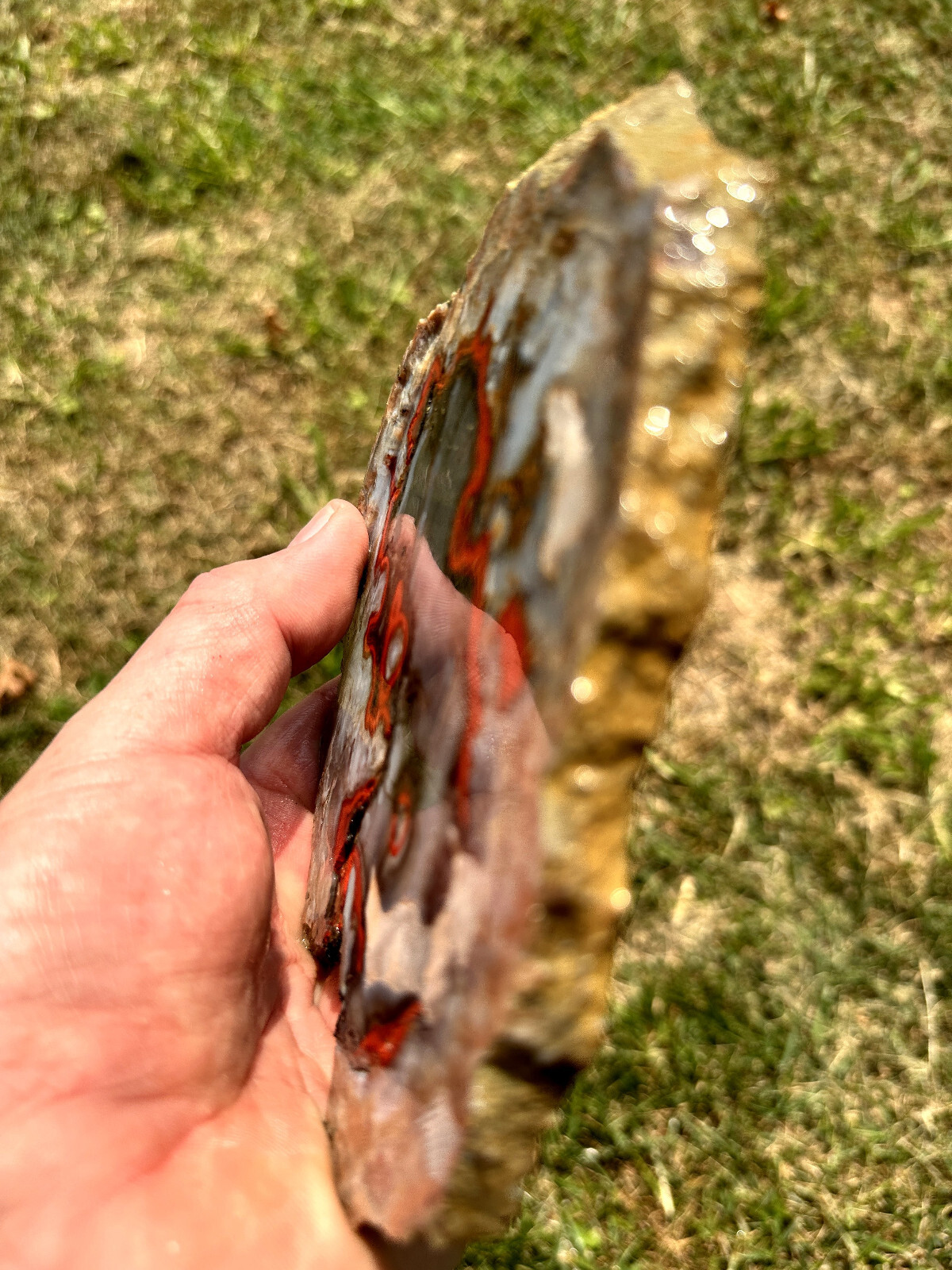 6 1/2 INCHES__Beautiful Imperial Kentucky Agate Slab from Estill County