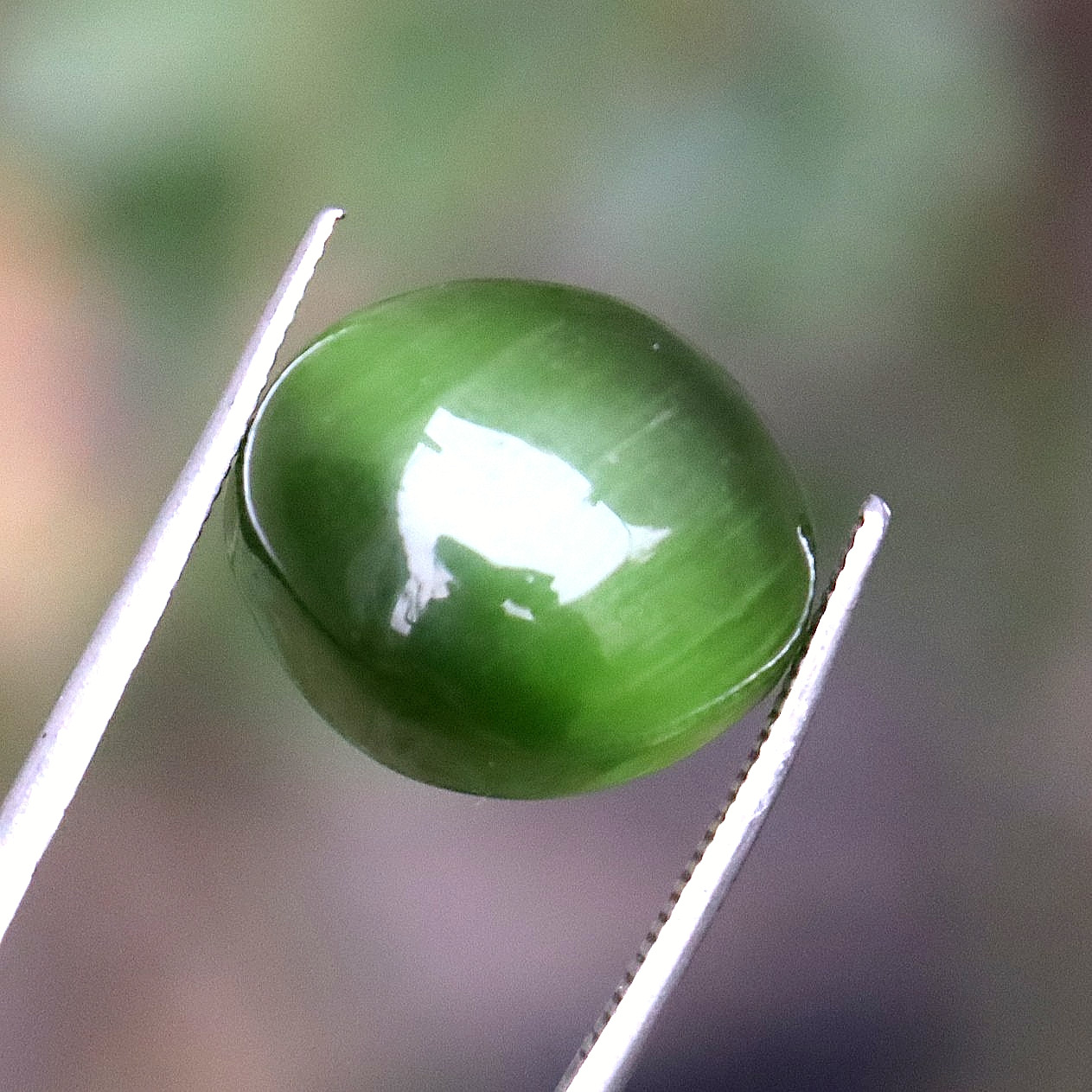 Cats Eye Cabochon Certified Chrysoberyl Oval Cut Green Loose Gemstone 16.50 Ct