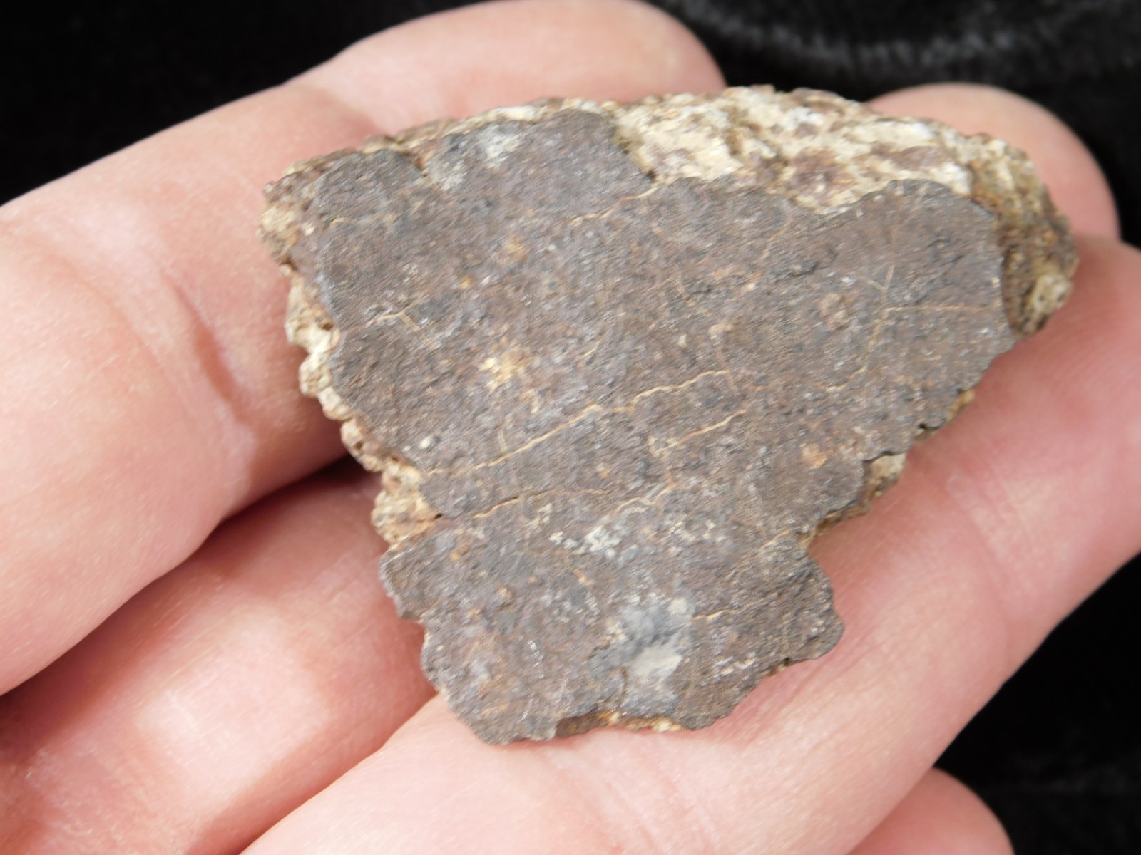 Classified NWA 8245 METEORITE 100% Natural FELL on Erfoud, Morocco 47.3gr