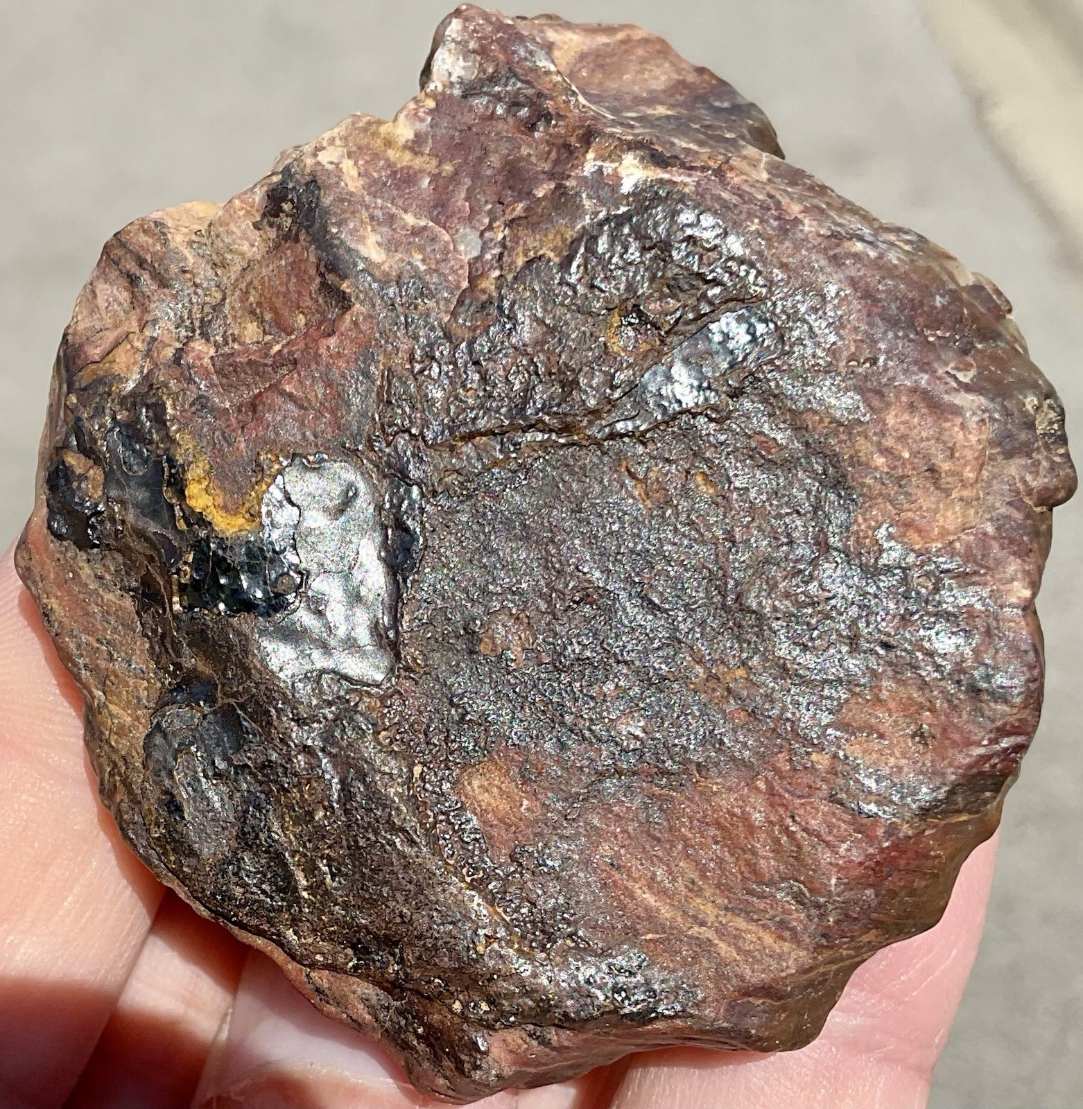 141g Banded Iron Petrified Wood Pseudomorph Rare Minnesota Rough Lapidary