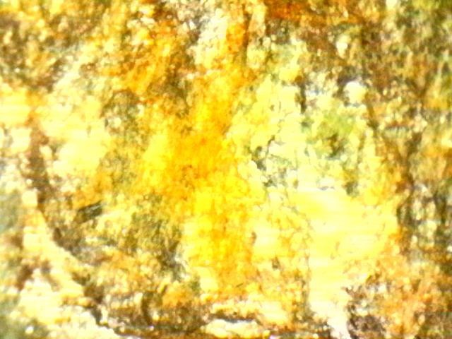 Platinum and Gold Ore Specimen/ Black Hills South Dakota