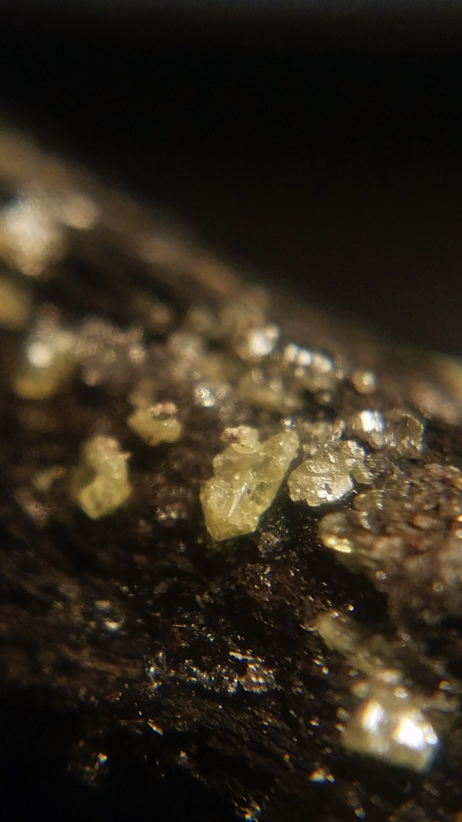 SiG: Tiny Light Pale Yellow Sulphur Crystals on Dark Matrix from Austria