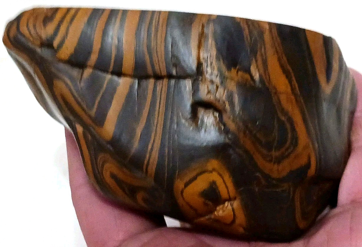 Rare Wyoming Banded Iron Formation BIF Display Rock Cut & Polished Display Tiger