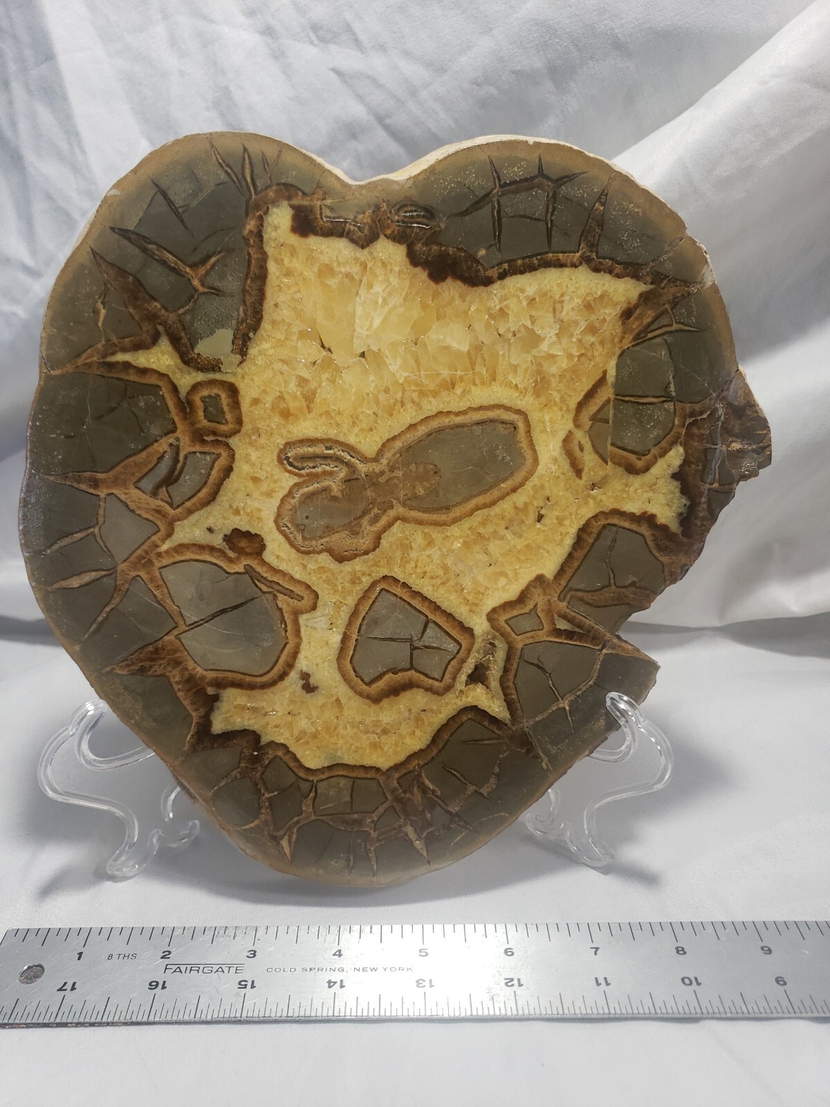 Large Septarian Nodule Specimen from Utah 10″x9″ 3 pounds 13 ounces (1708g)
