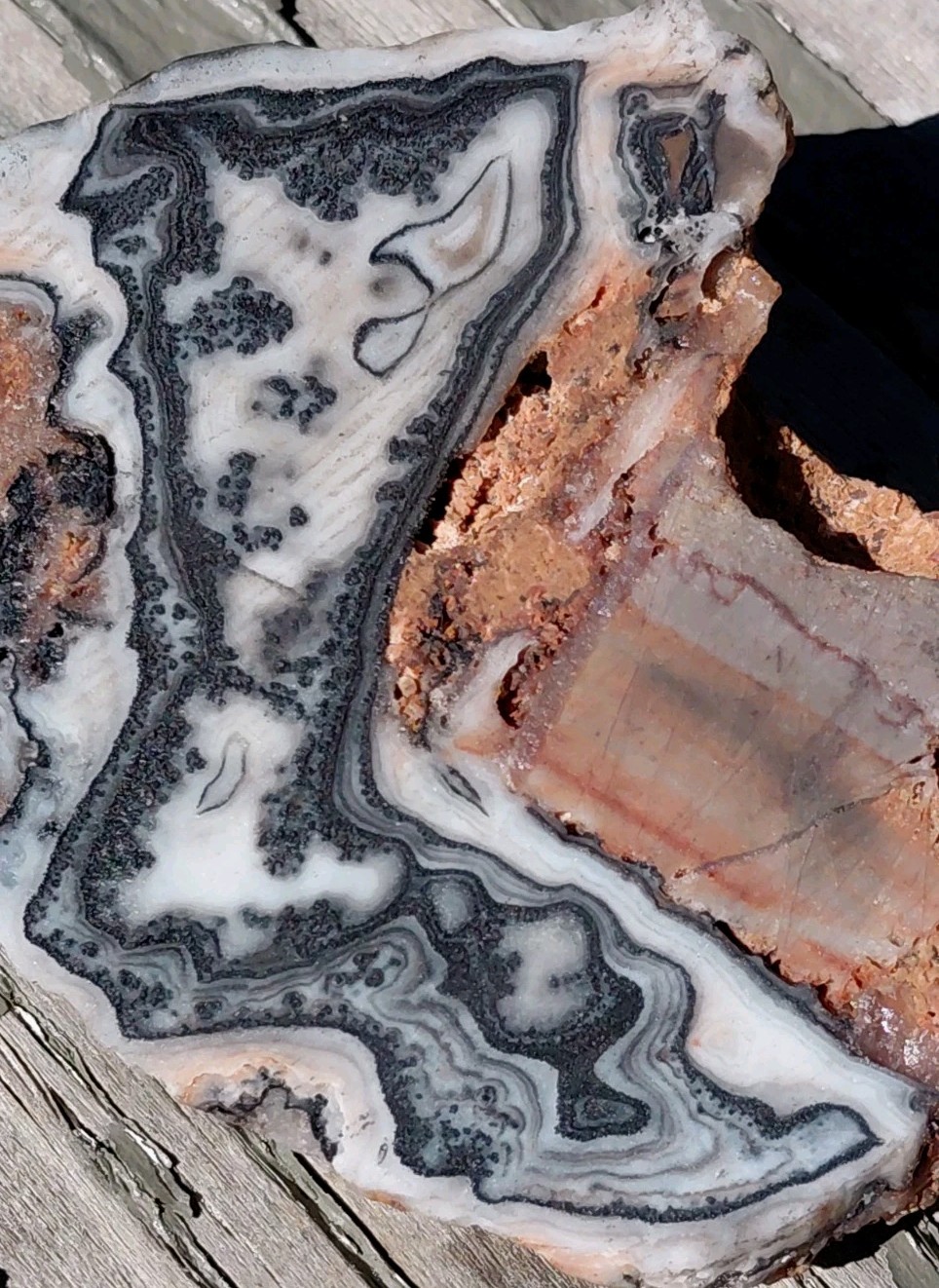 Zebra Calcite Lace Dendrite Bands Display Décor Reiki Cabs End Slab 3 1/2″×2 1/2