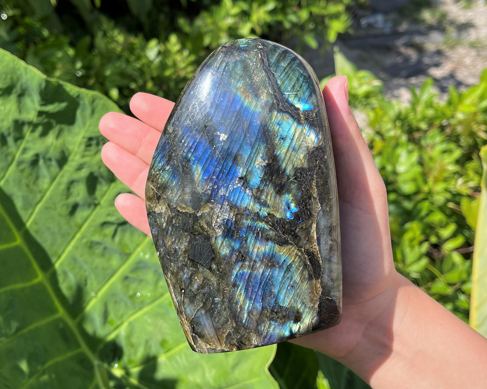 JUMBO Polished Labradorite Freeform: High Flash Free Standing Crystal Specimens