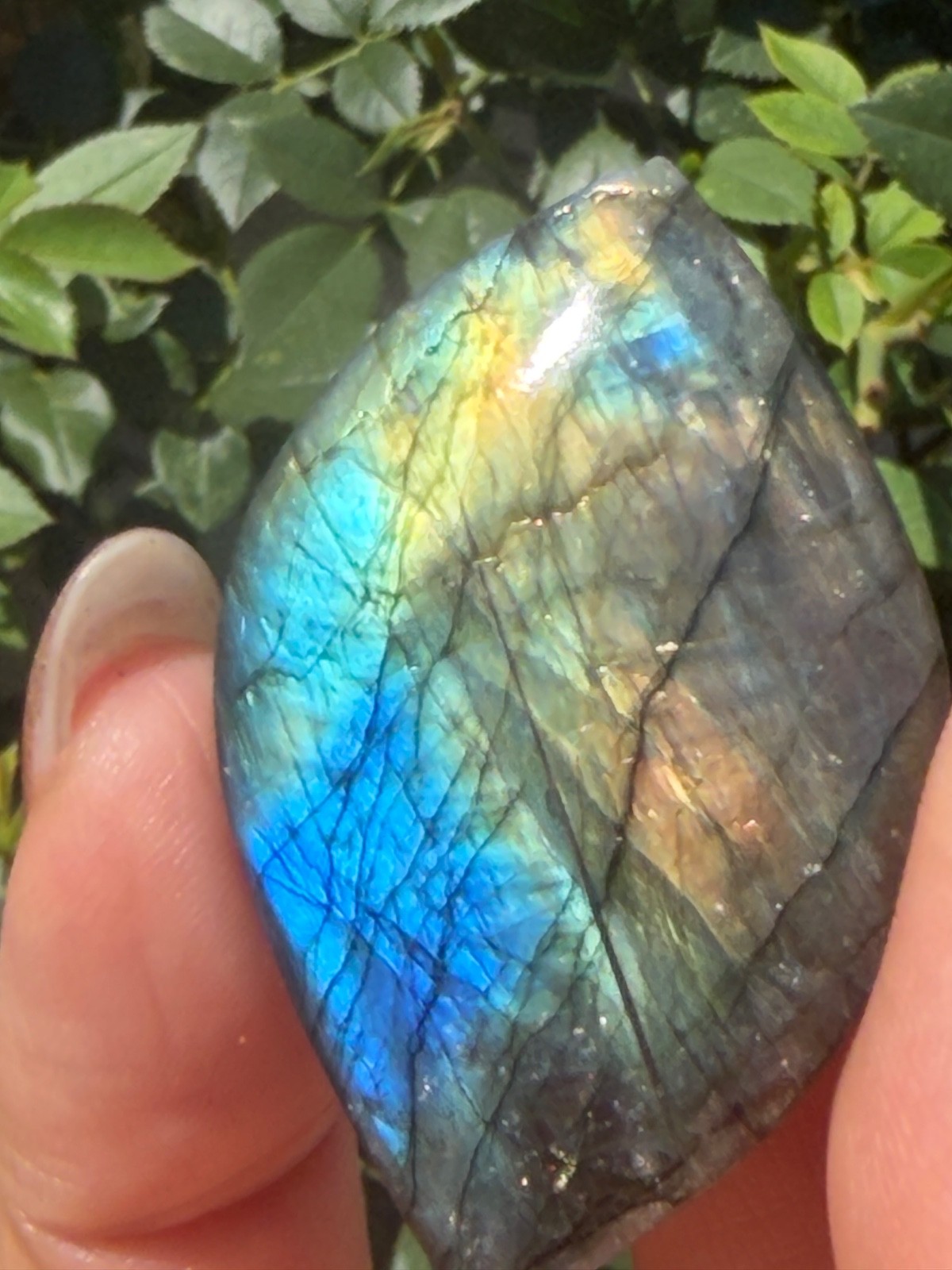Wholesale Lot 12 Pcs Natural Labradorite Cabochon Crystal Healing Energy