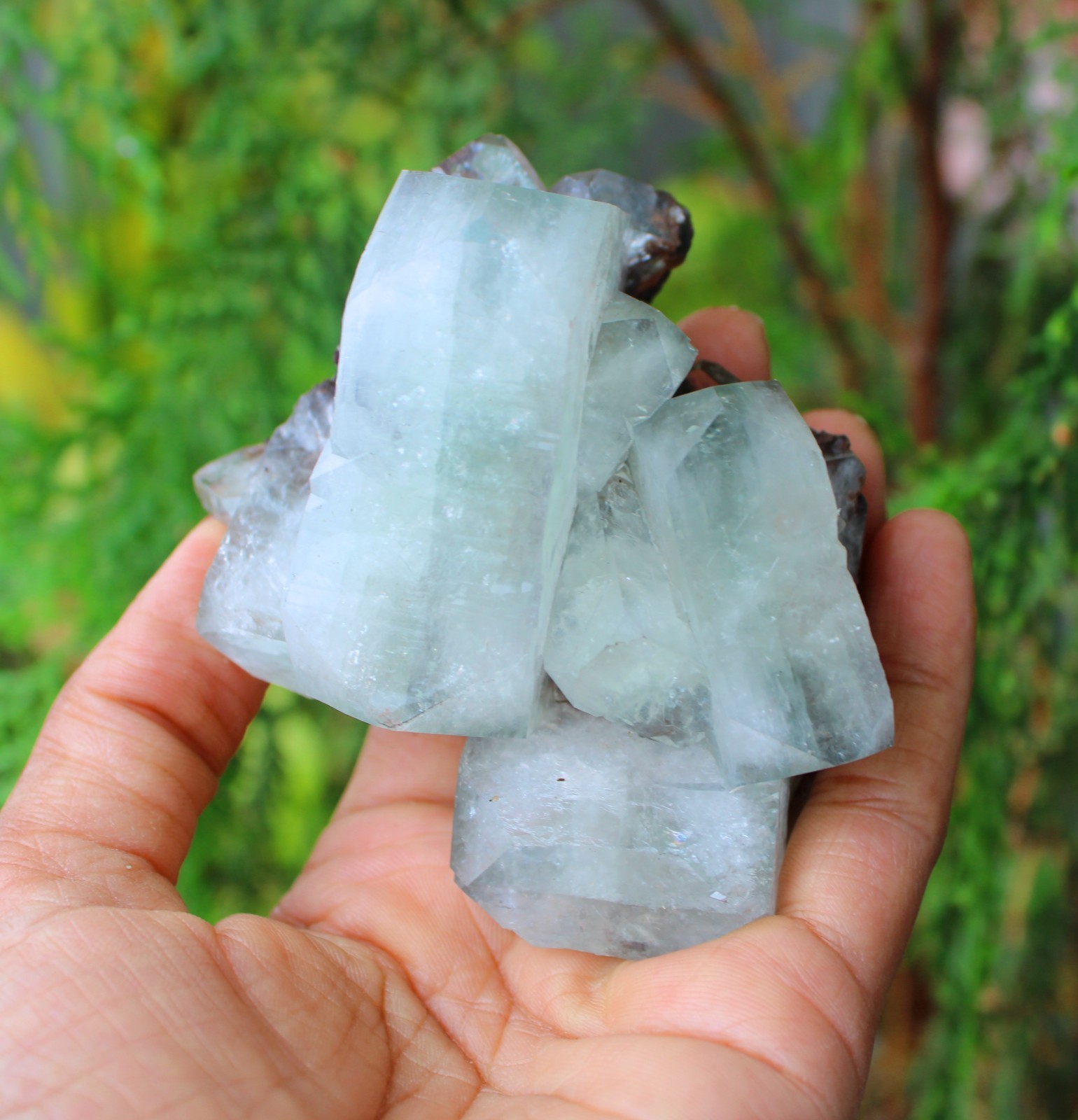 GREEN APOPHYLLITE CRYSTALS MINERALS SPECIMEN