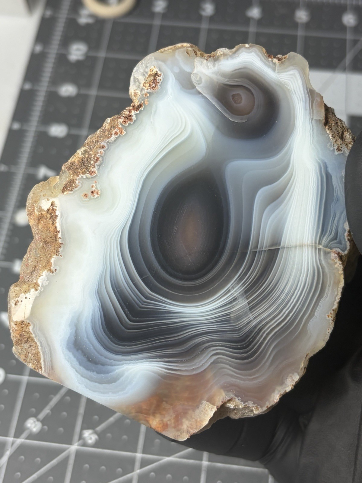 Beautiful Botswana Agate Free Form “penguin” Banding