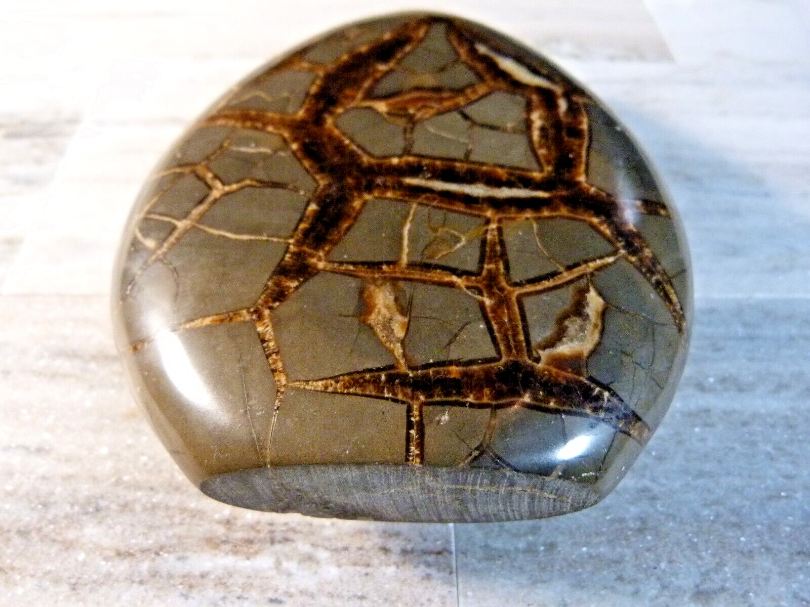 Natural Polished Septarian Geode Crystal 700g 5 1/4 Inches