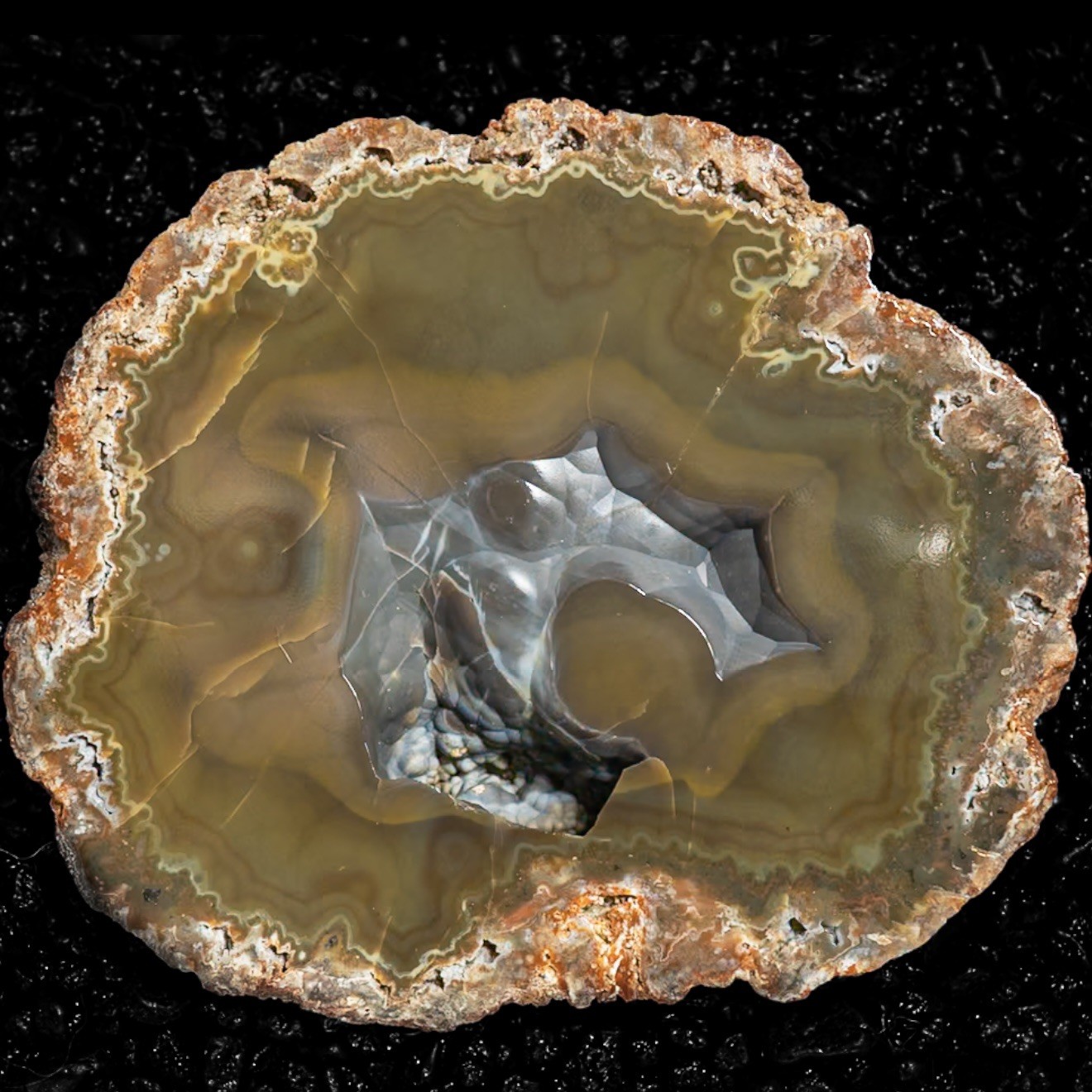EXTREMELY RARE COLOR! | Large Kentucky Agate mirror polished half Estil County