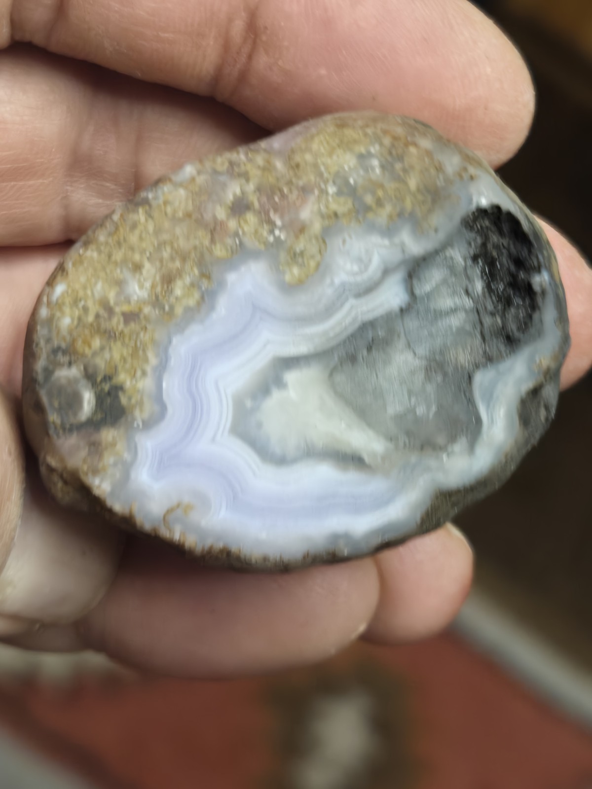 Mulligan Peak Agate 2.7. Vibrant Purple Banding Cut Not Polished