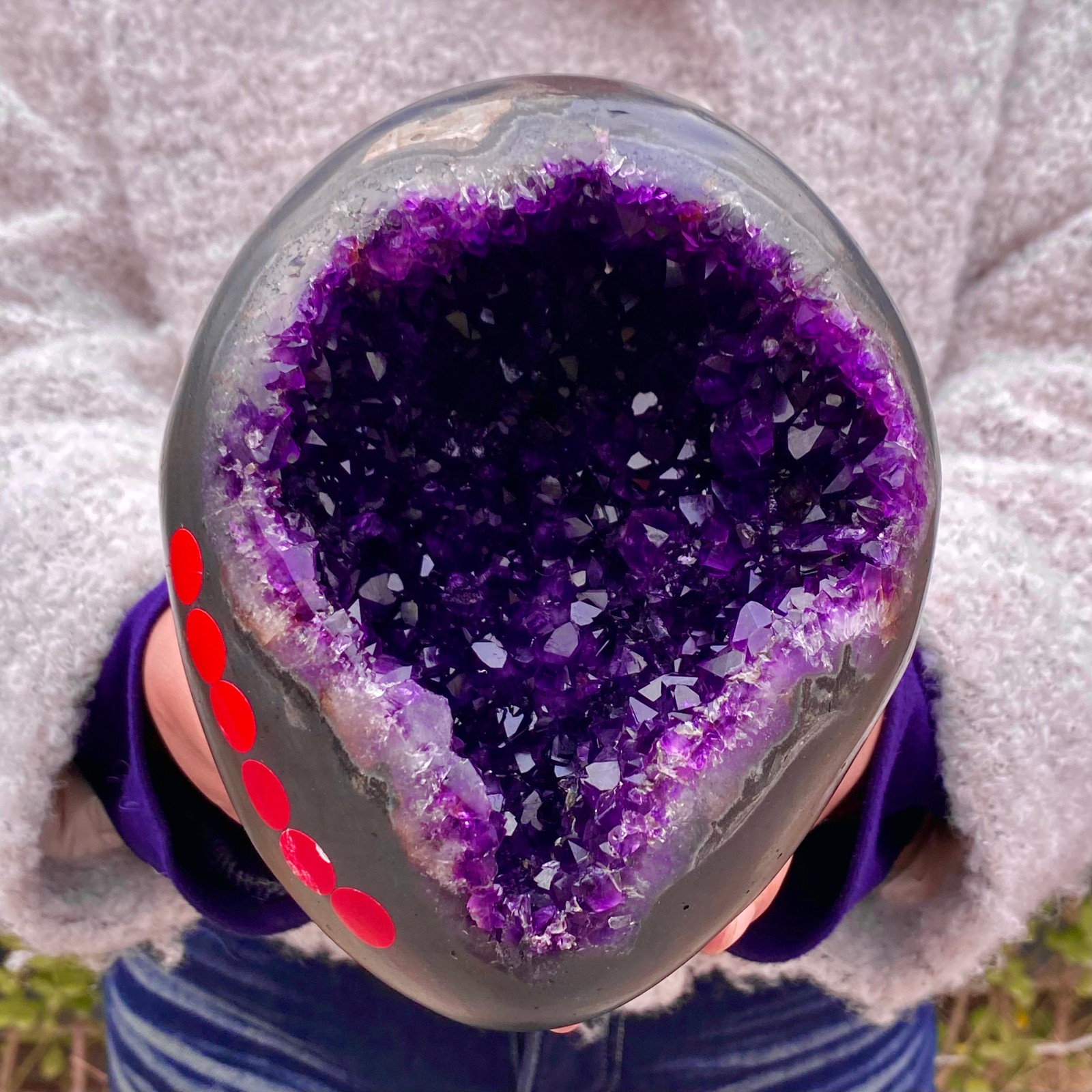 8.15LB Natural amethyst Dinosaur egg Quartz Crystal specimen healing