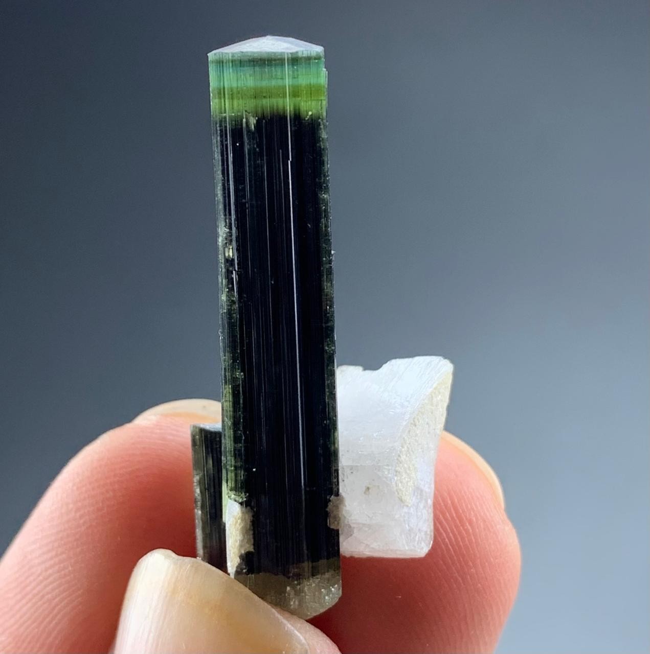 Natural Green Cap Tourmaline Crystal Specimen Lot Skardu Pakistan Minerals
