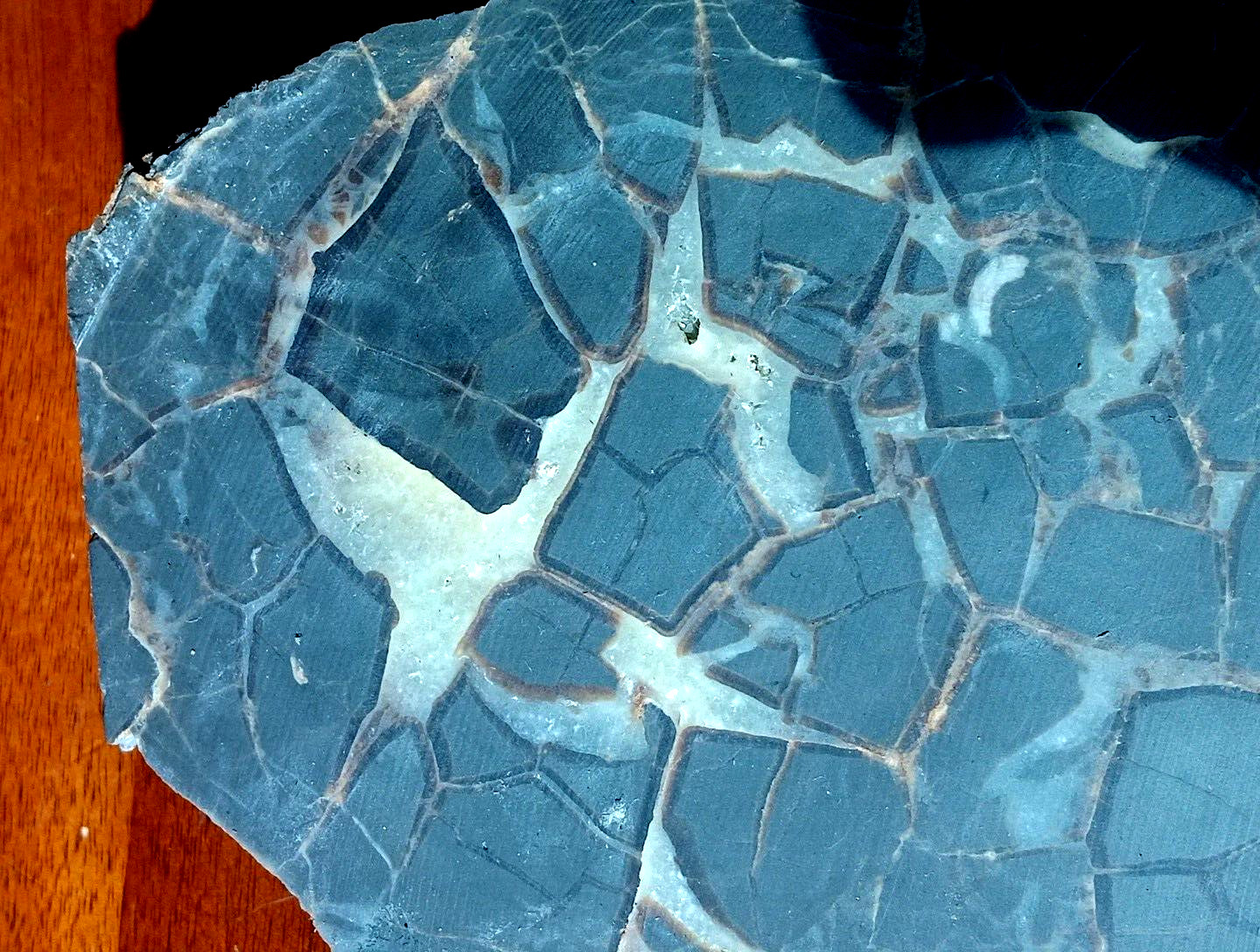 Septarian Nodule UV Reactive End Cut Display Crystal Specimen Glows Purple