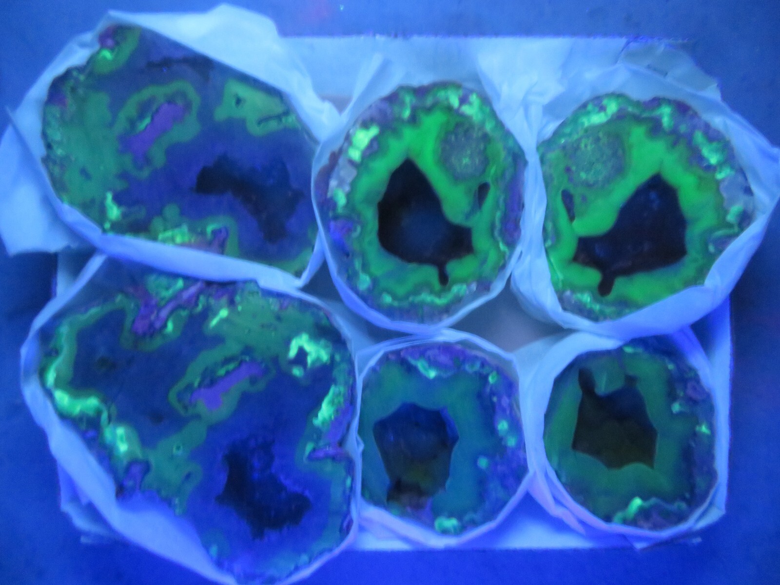 3 Pairs Fluorescent Cut NOT Polished Geodes Chihuahua Mexico