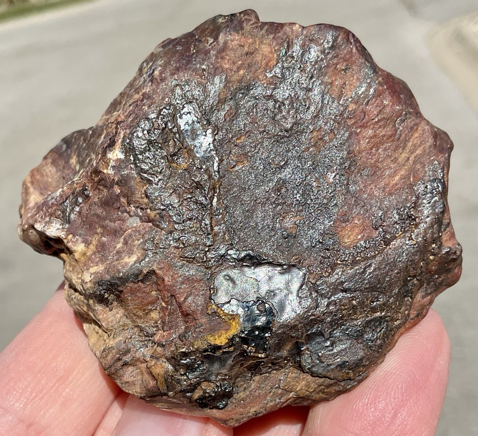 141g Banded Iron Petrified Wood Pseudomorph Rare Minnesota Rough Lapidary