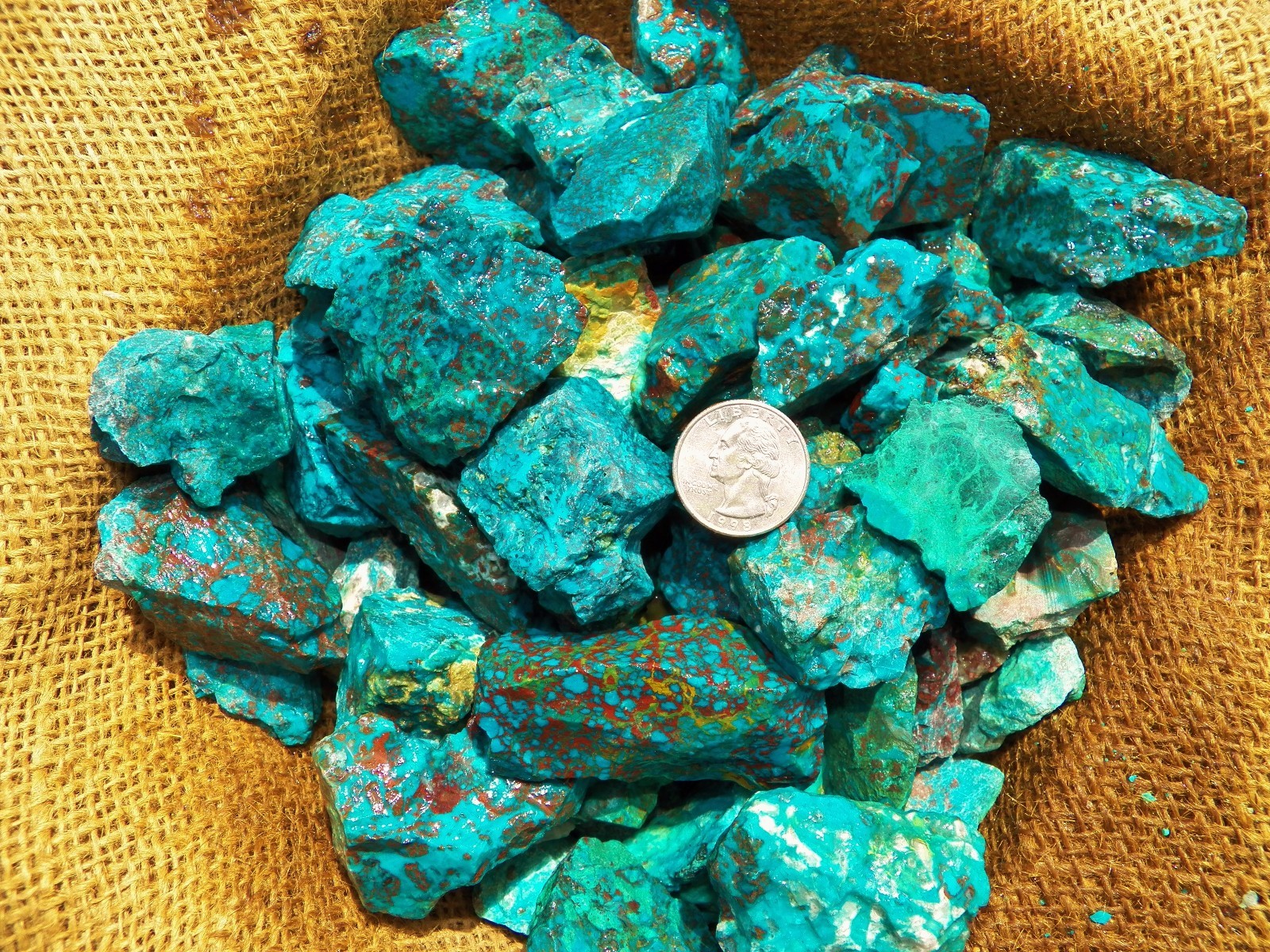 1000 Carat Lots of Chrysocolla & Turquoise Rough – Plus a FREE Faceted Gemstone