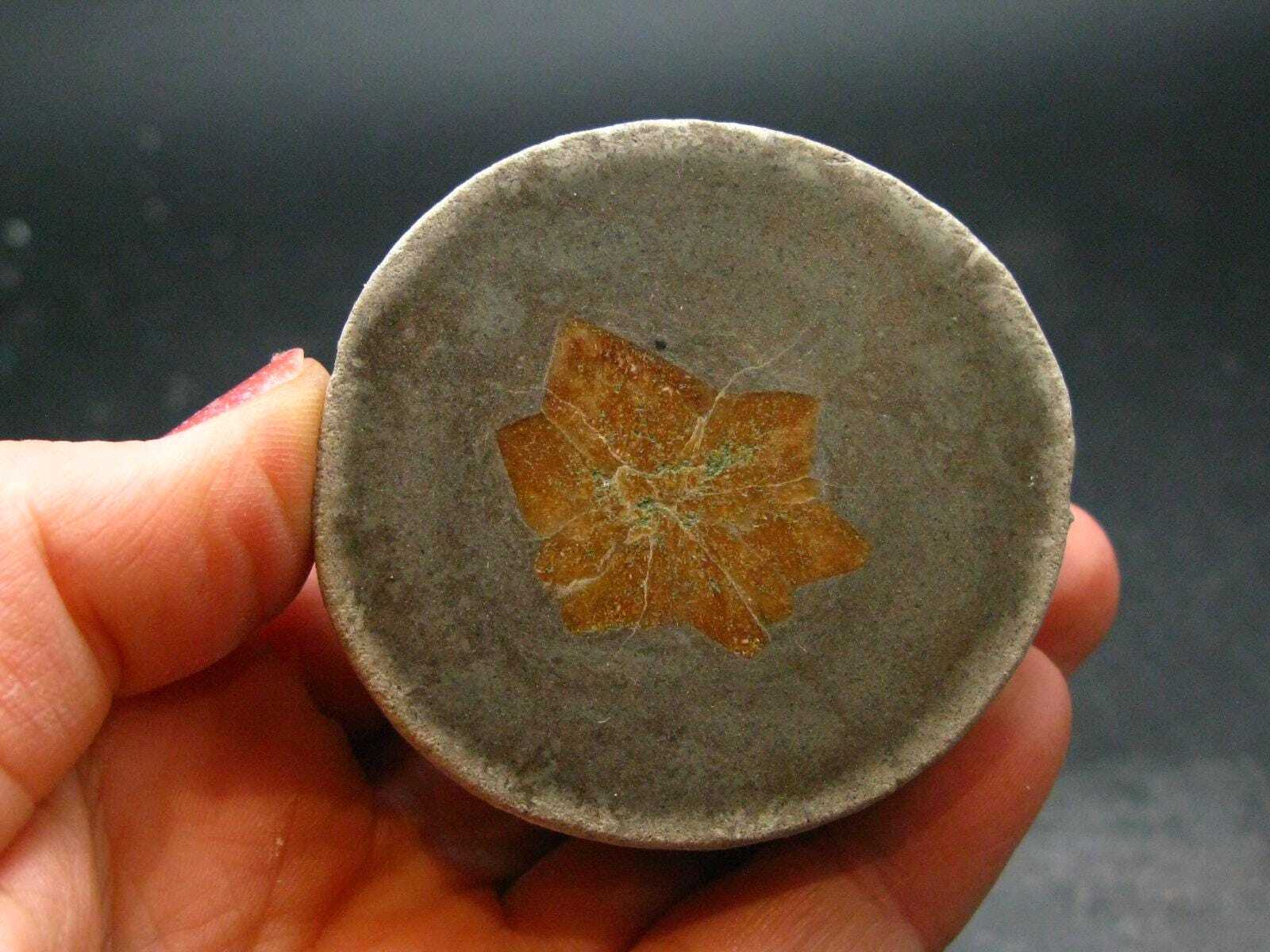 Glendonite (Ikaite after Calcite) Crystal From Russia – 2.0″ – 95.33 Grams