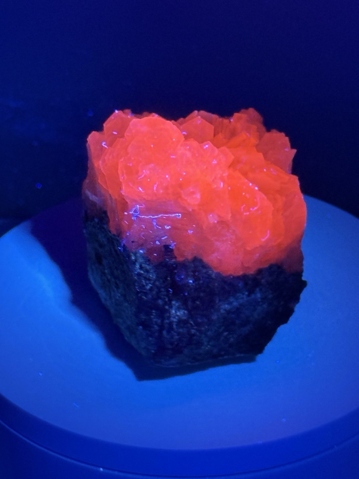 RADIANT Sandwich Calcite Fluorescent Mineral Specimen – China