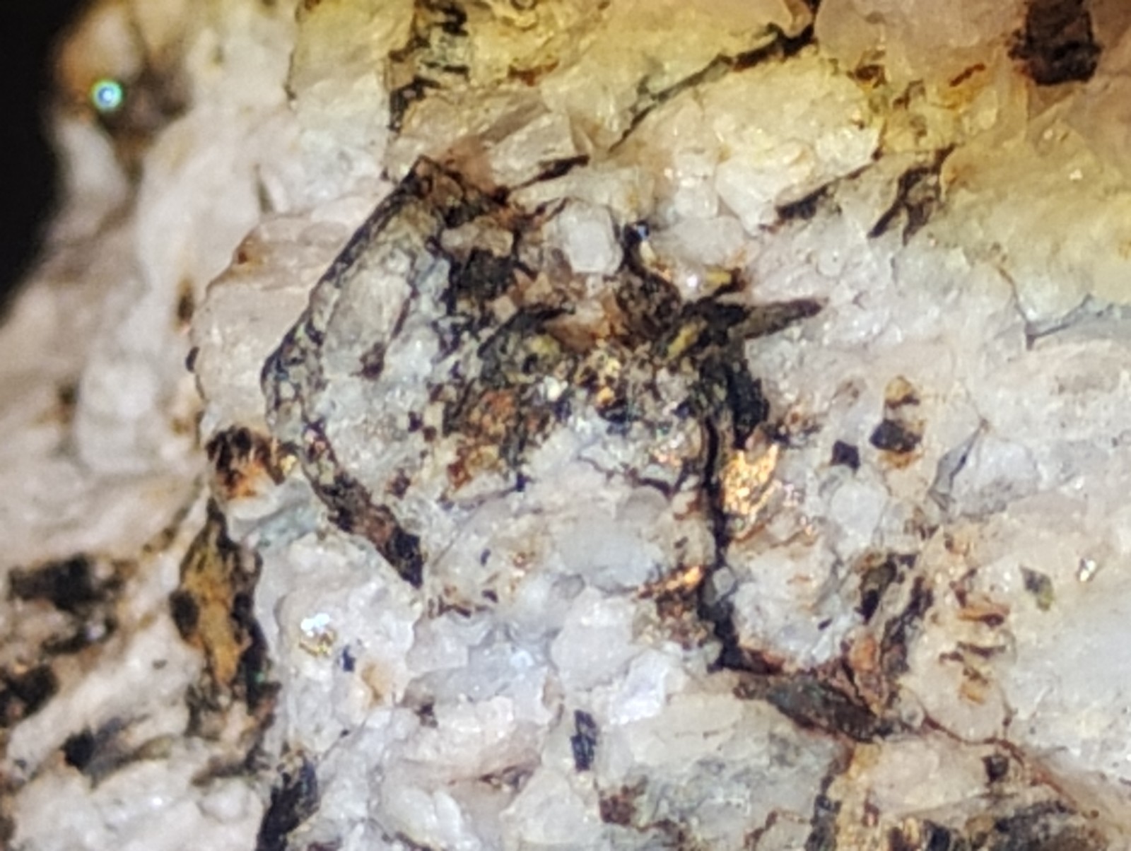 Polymetallic Ore Matrix Quartz, Pyrite & Silver/Black Sulfides – Blue Mountain?