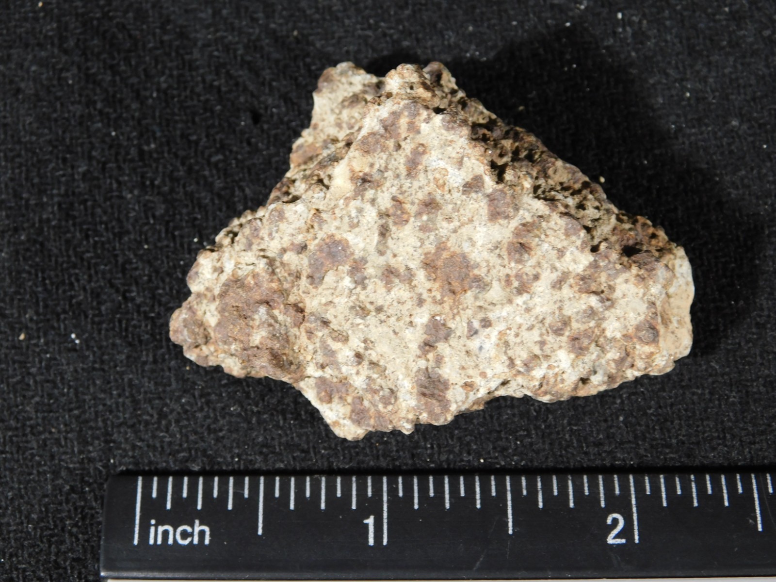 Classified NWA 8245 METEORITE Spots of Dark Fusion Crust! Erfoud, Morocco 51.6gr