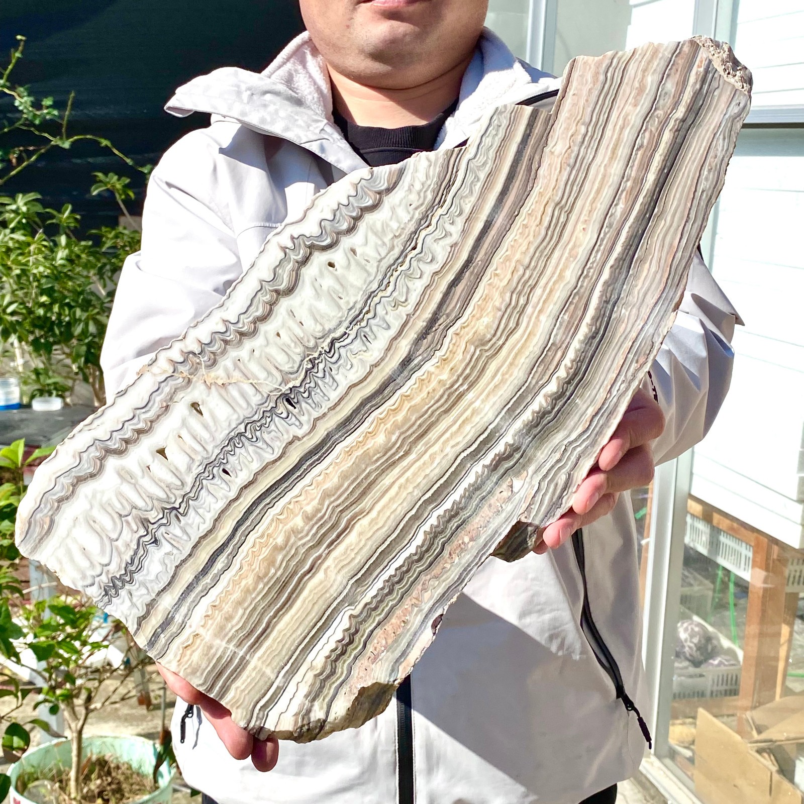 6LB Natural agate, zebra stone, crystal mineral, cut and polished in flakes