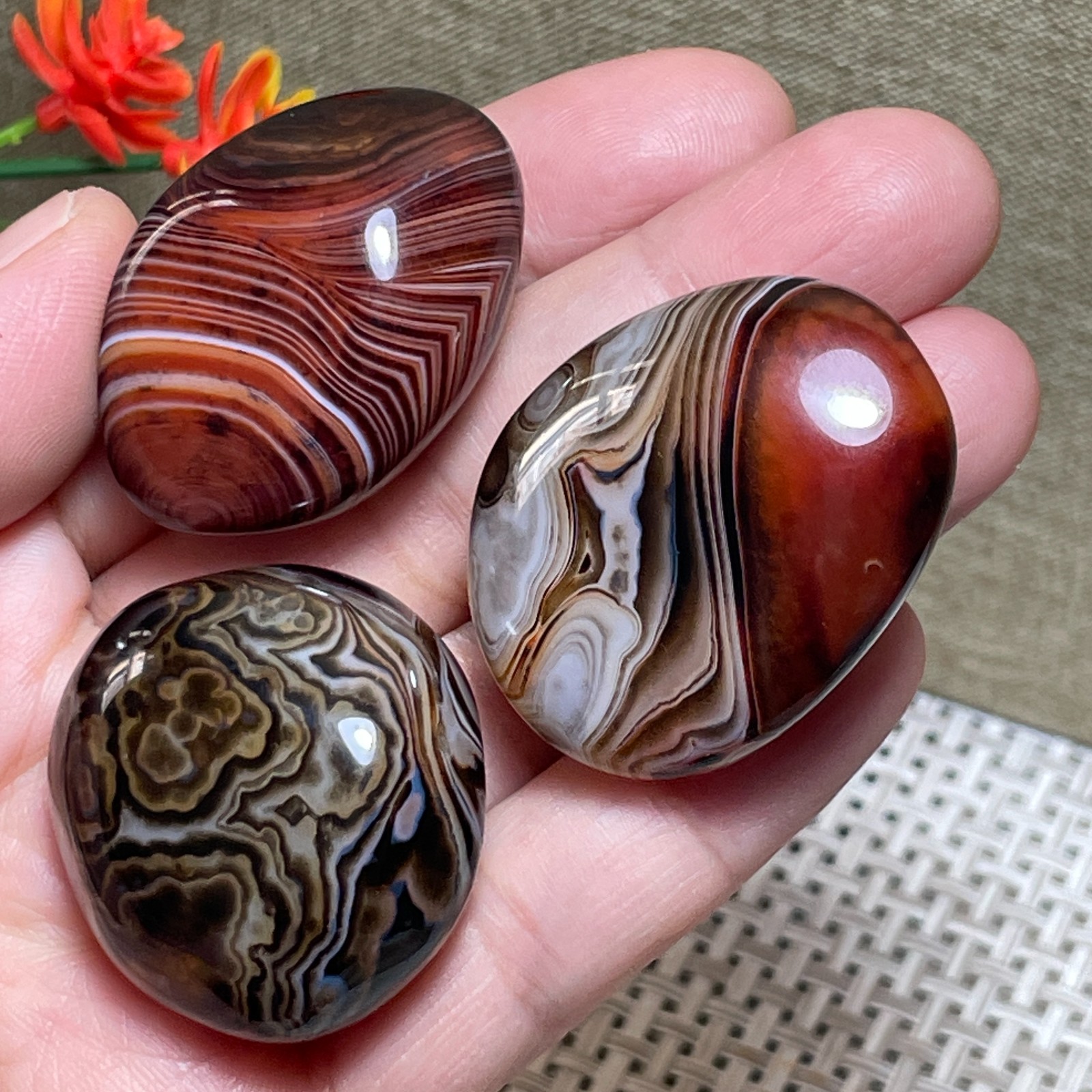 3pcs Crazy Lace SILK Banded Agate Polished Tumbled Stone Madagascar Decor 84g