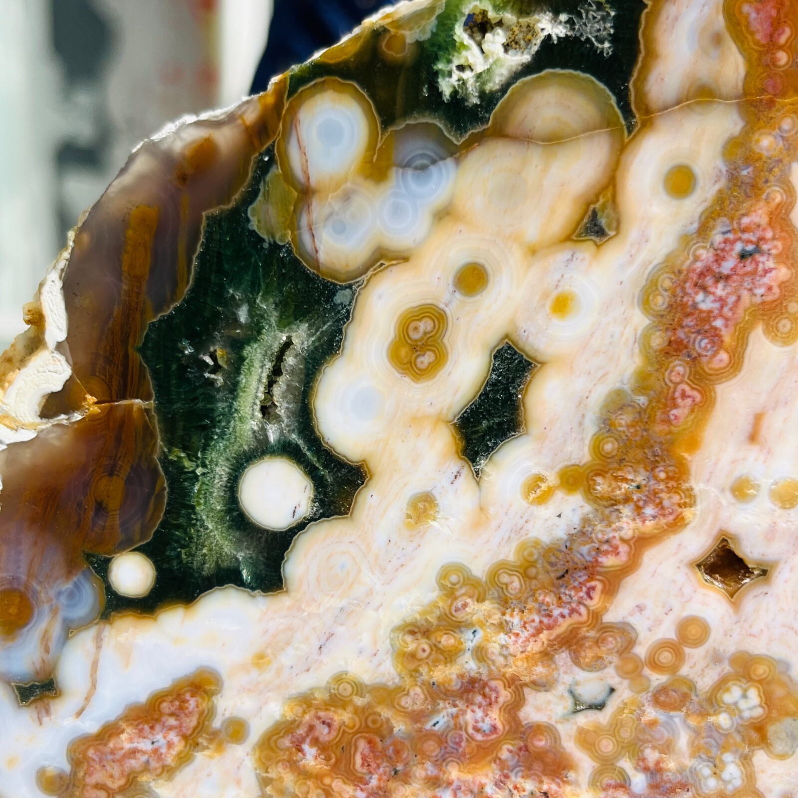 3.75LB Rare Natural The 8th Vein Ocean Jasper Slab Quartz Crystal Reiki Healing