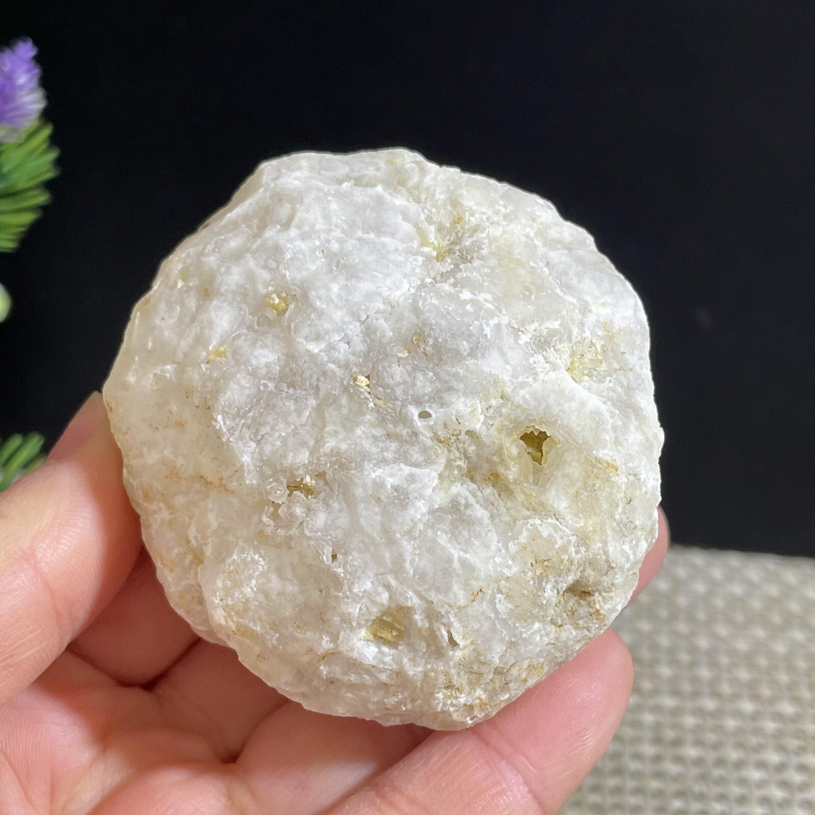 1pc 164g Quartz Geode Unopened Break Your Own Natural ab280