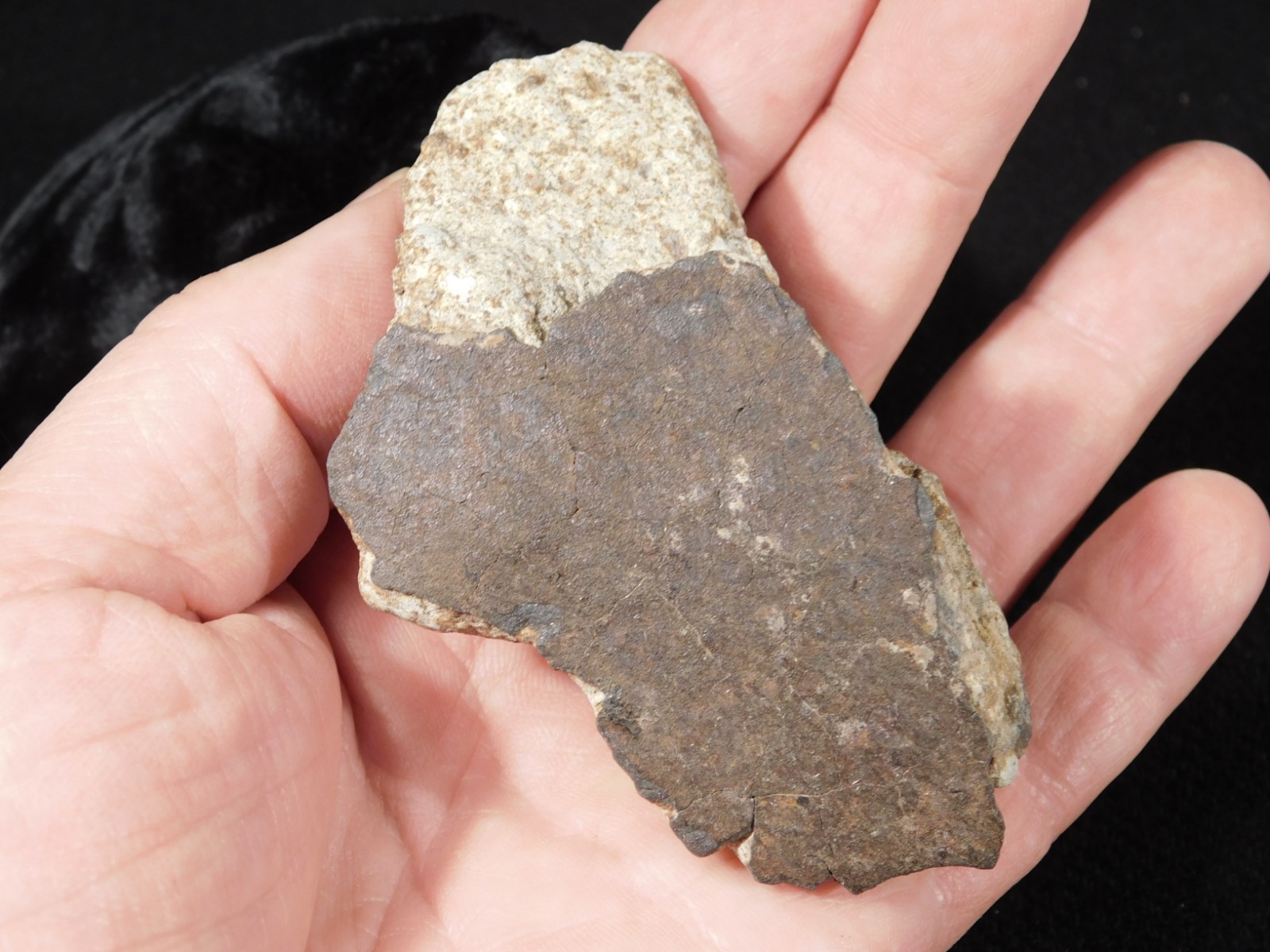 Larger! Classified NWA 8245 METEORITE 100% Natural! Erfoud, Morocco 184gr