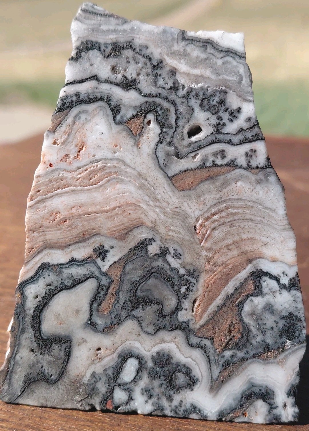 Zebra Calcite Self-Standing “Wedge” Dspl UV Psychedelic Wavey Band 3x 2 1/2″