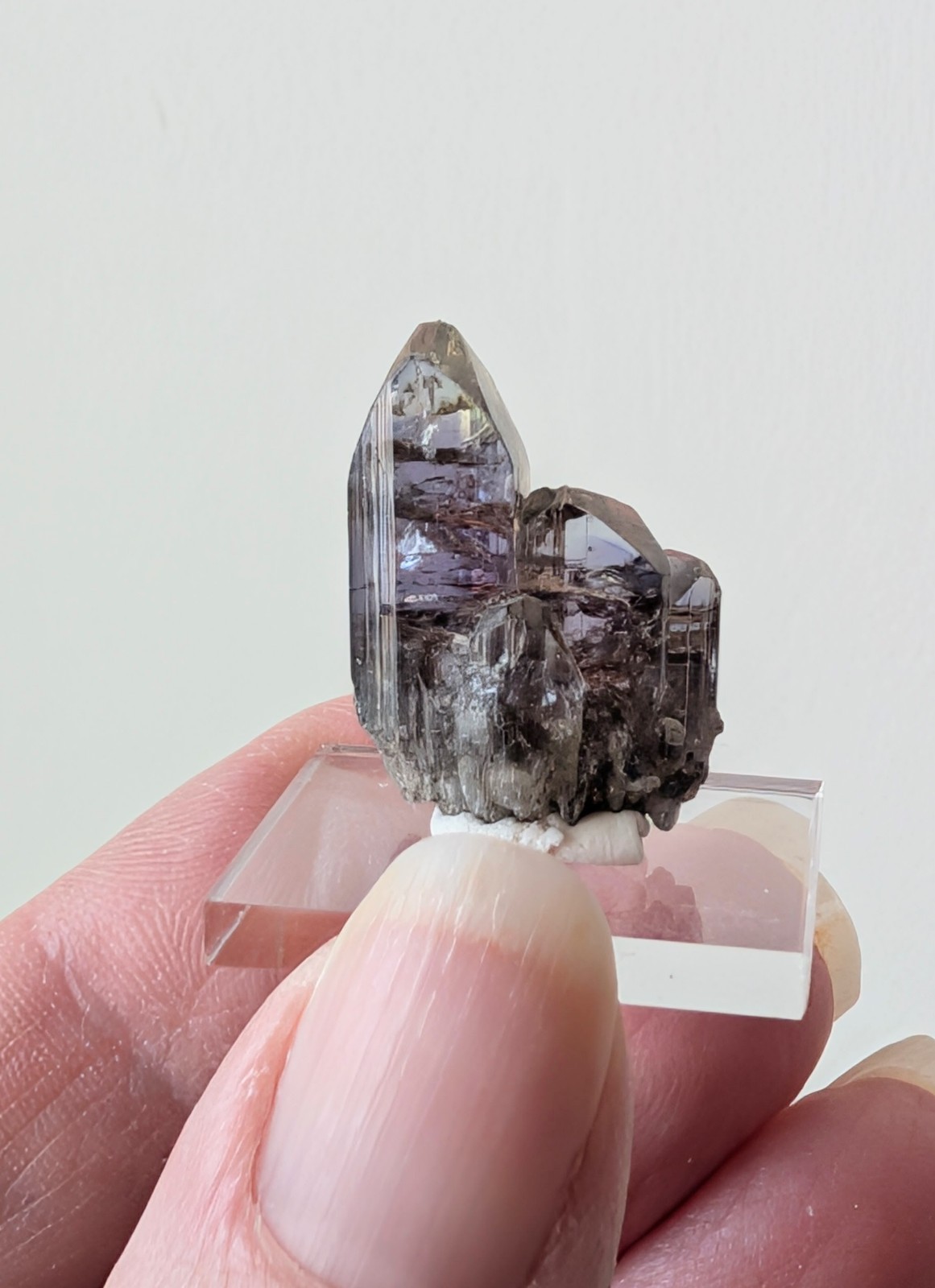 23.5 ct Natural Multi-Termination Tanzanite Crystal Cluster – Unheated