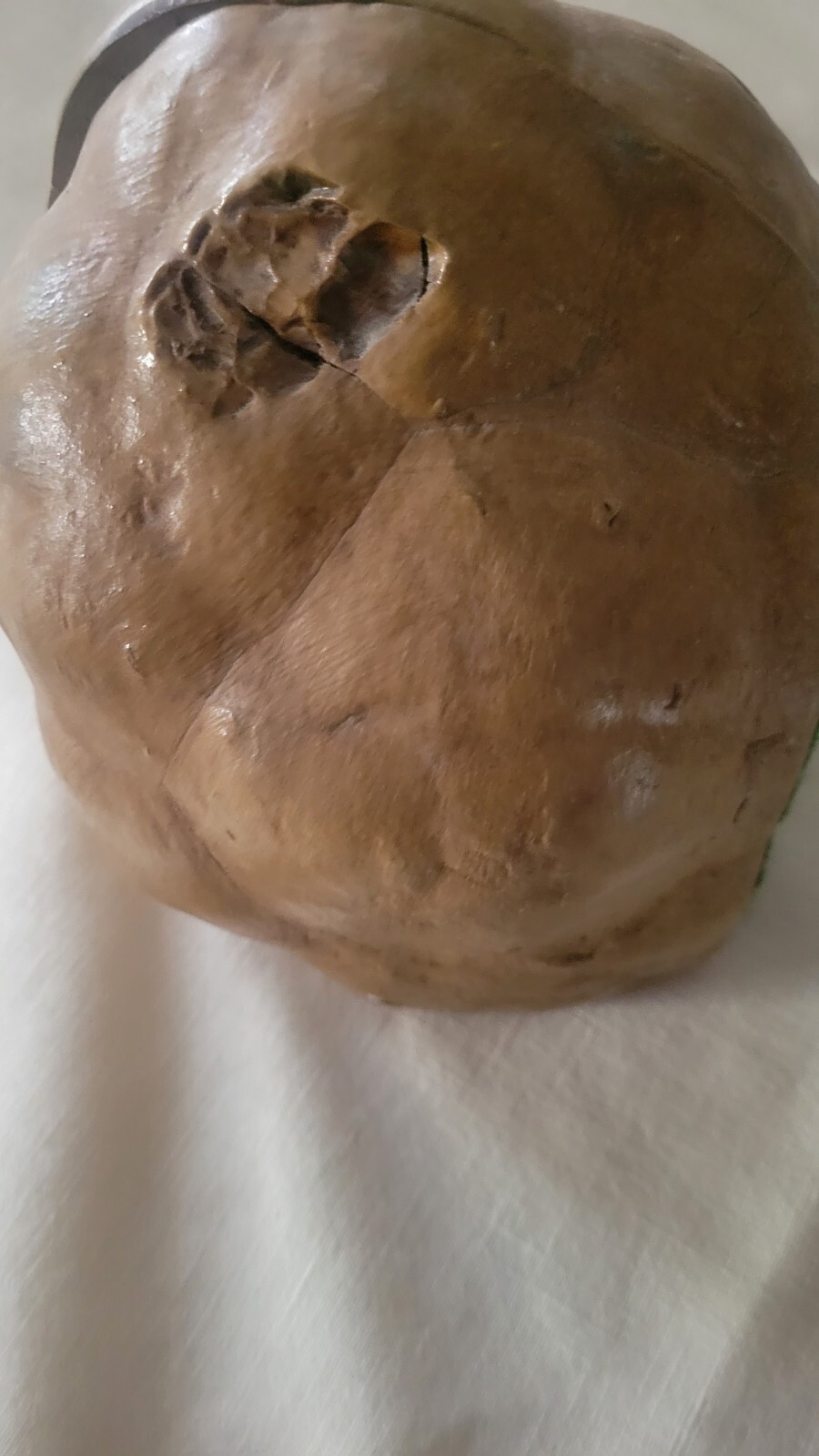Septarian nodule LARGE Extra Fine MATCHED CUT.