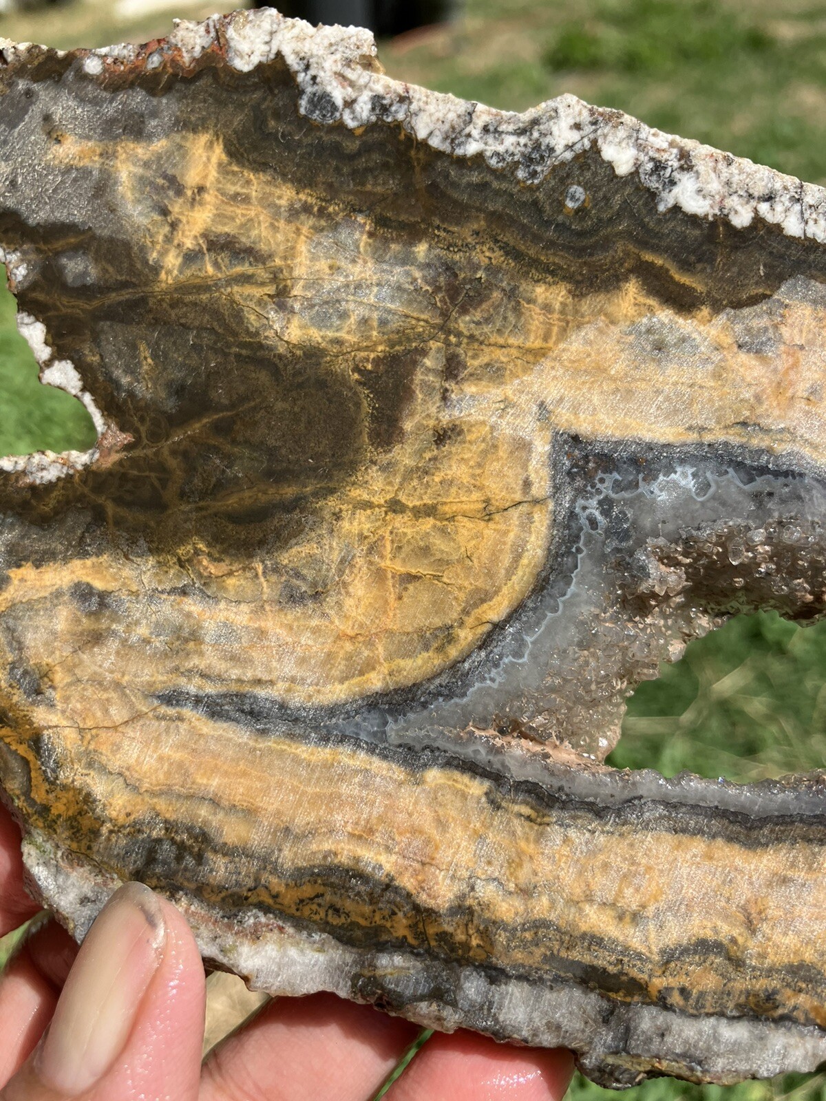 Black And Gold Agate Slab (New Mexico)