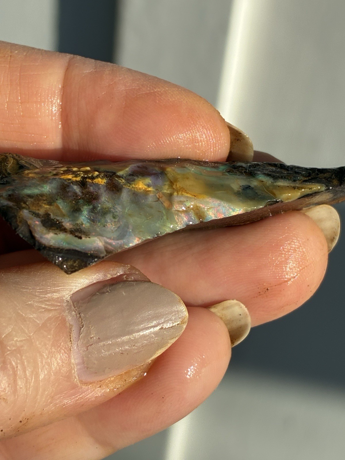 Beautiful 89ct Large Australian Boulder Opal Rough Loose Multicolor Specimen J
