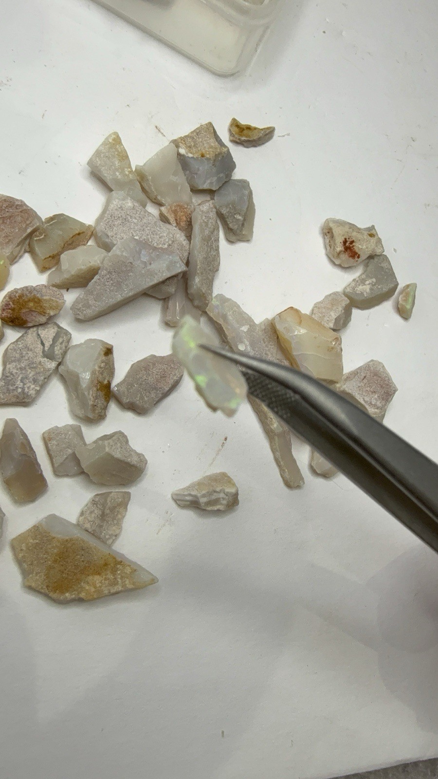 Lot Of Natural Australian Opals Multicolor Flash 26g Total With Plastic Case