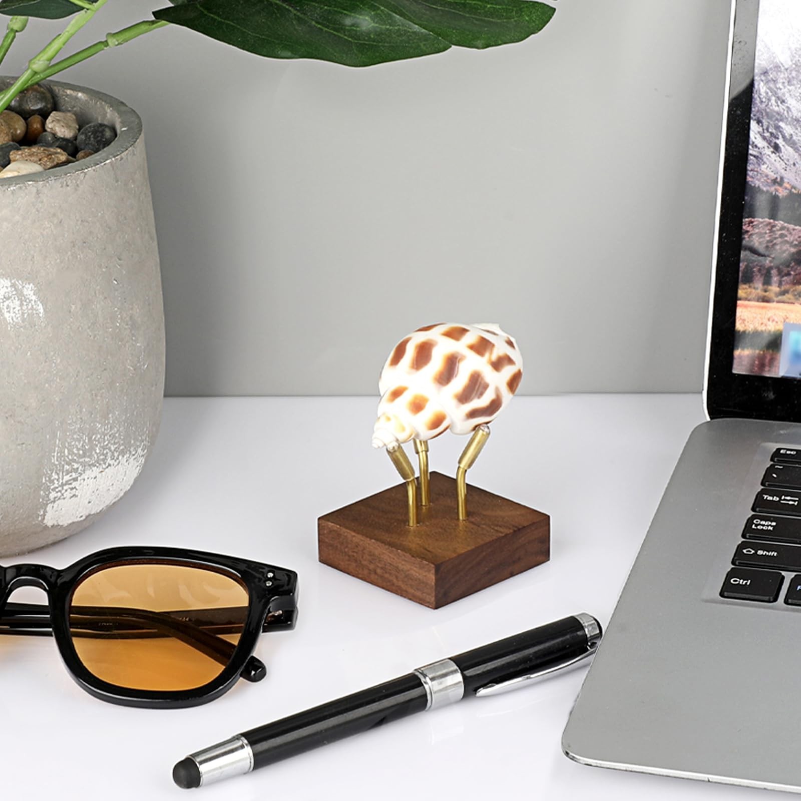 Hipiwe Metal Arm Display Stand Easel with Wooden Base Decorative Display for …