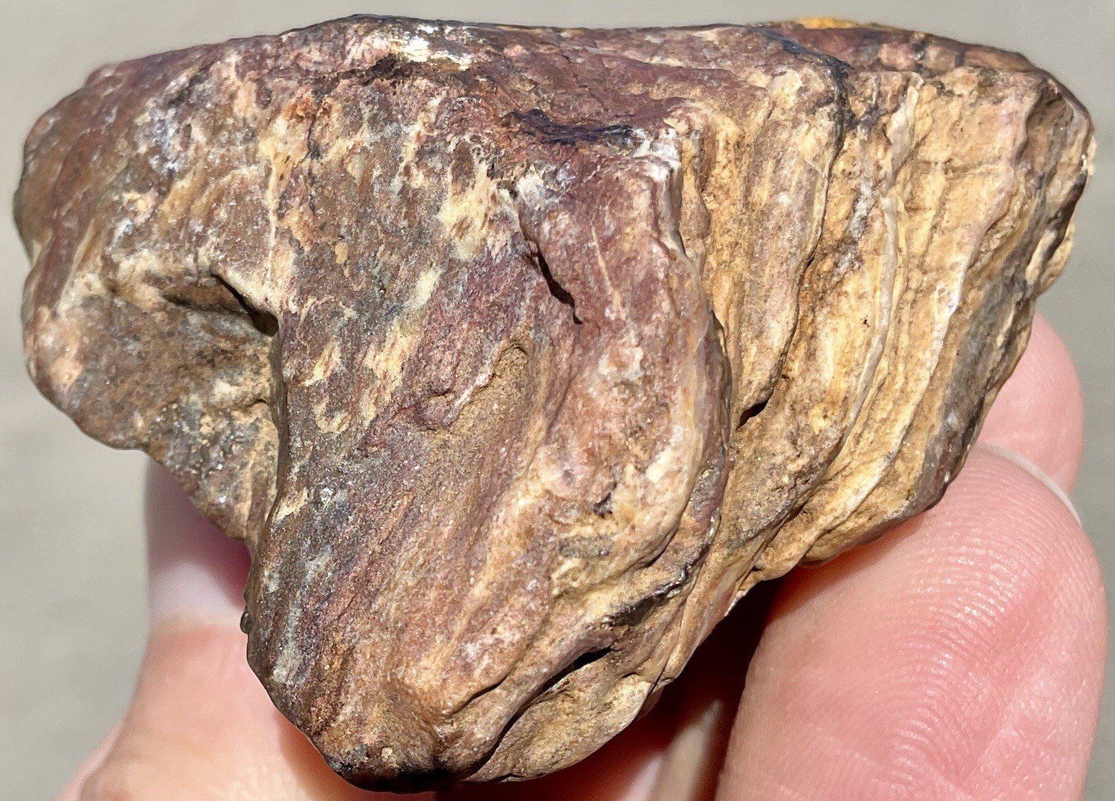 141g Banded Iron Petrified Wood Pseudomorph Rare Minnesota Rough Lapidary