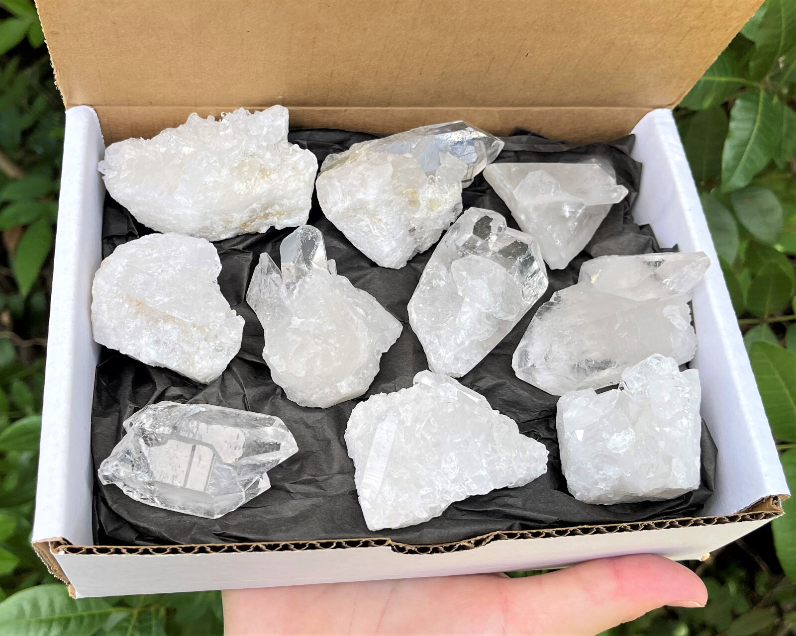 Clear Quartz Crystal Clusters Box: 8 – 12 Piece Box Lot (Clear Quartz Clusters)