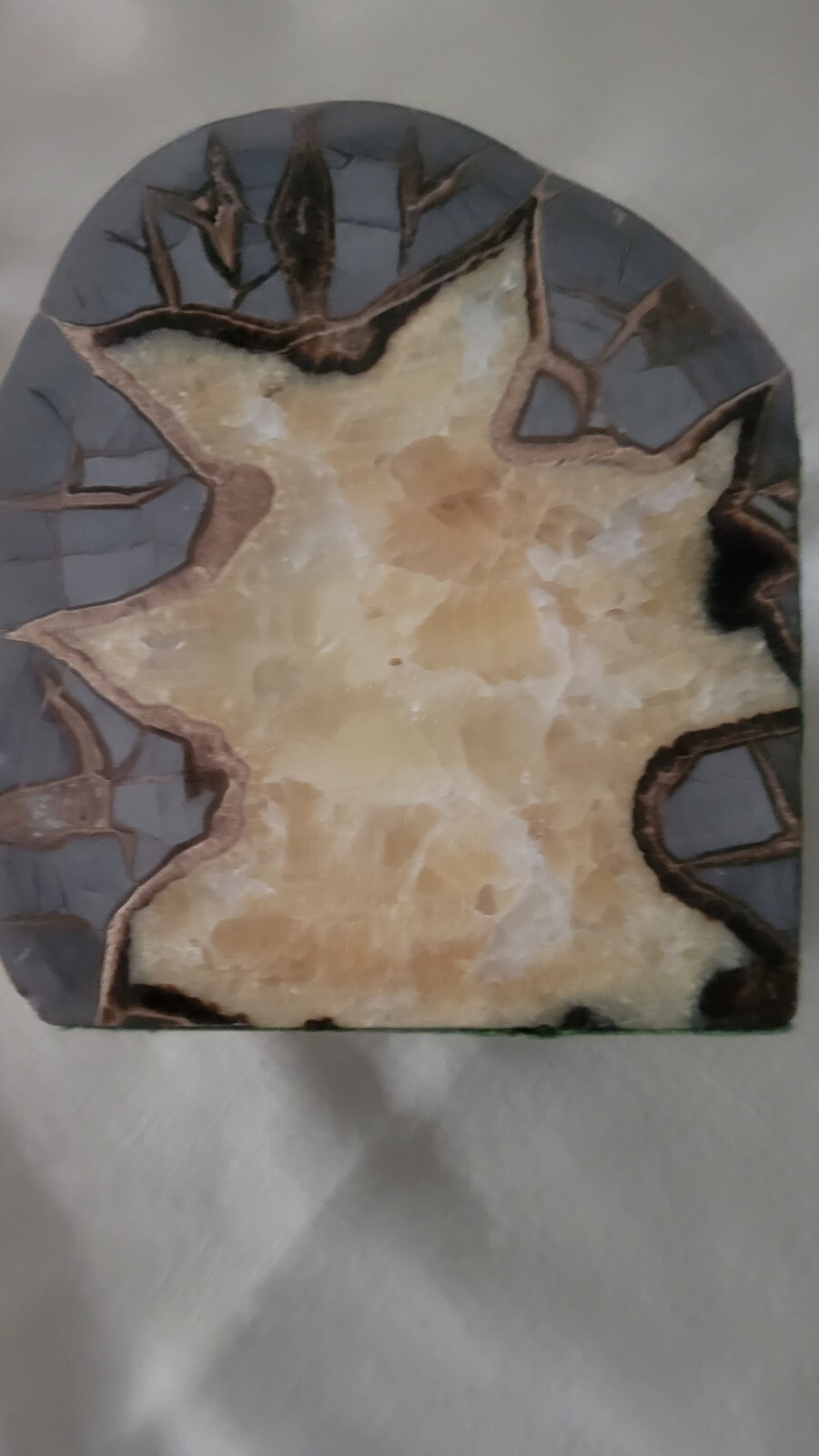 Septarian nodule LARGE Extra Fine MATCHED CUT.