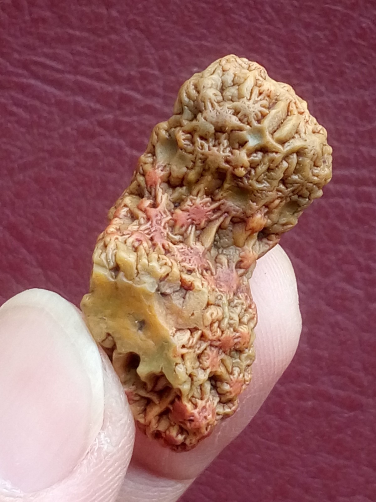 5 pieces Beautiful Natural GoBi agate veins agate Landscape stone